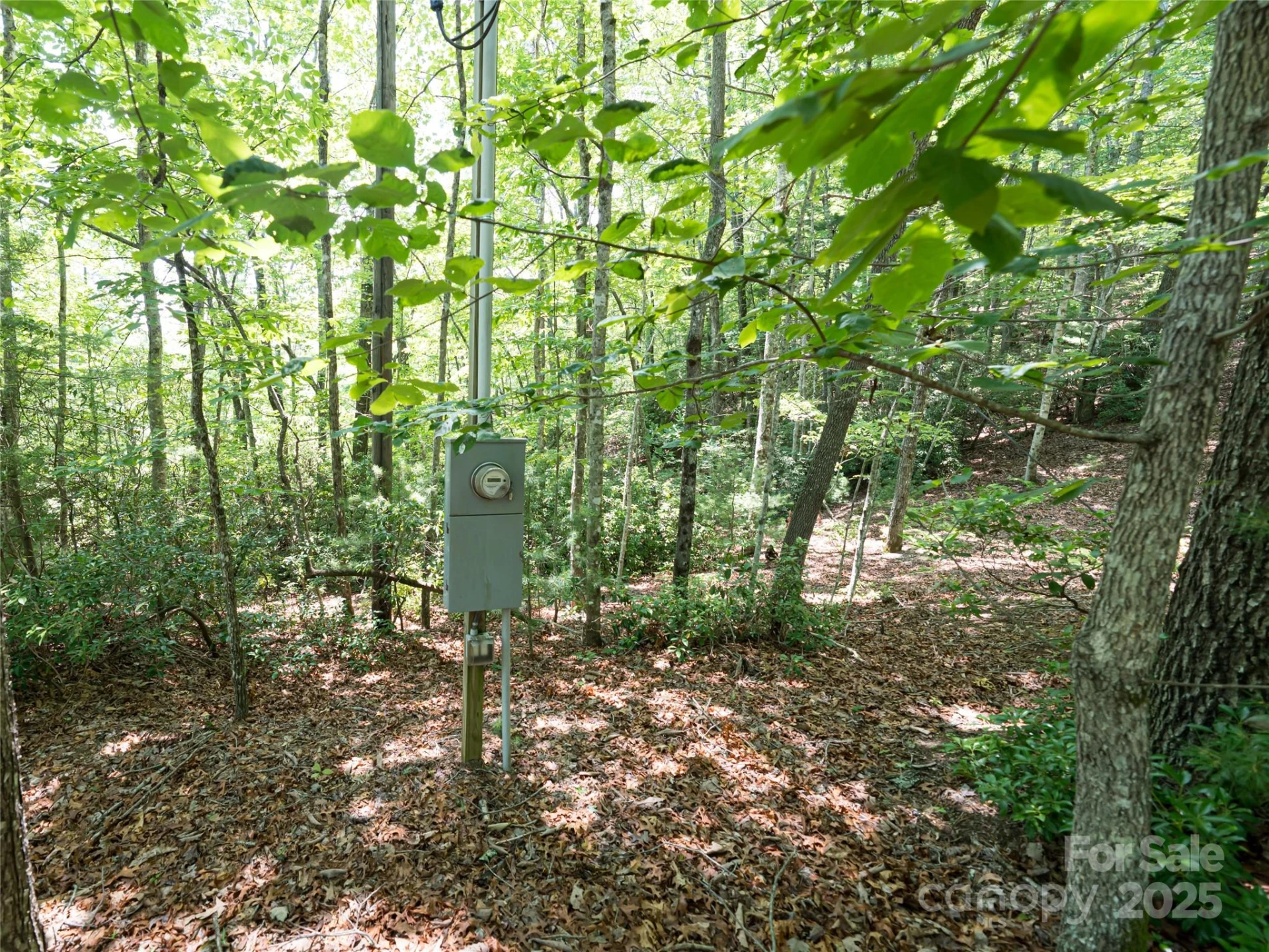 1000 Sutton Creek Road - Photo 17