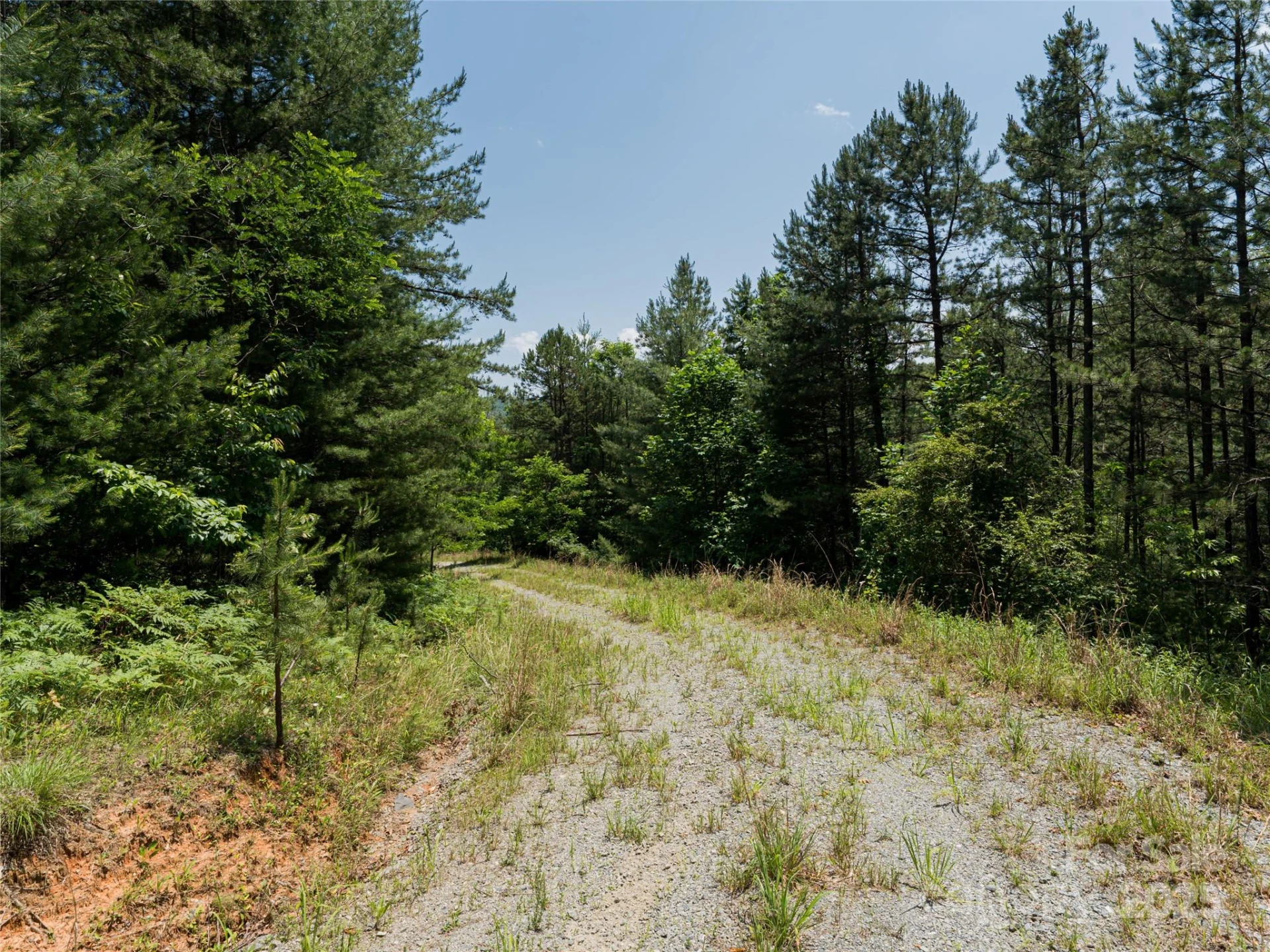 1000 Sutton Creek Road - Photo 19