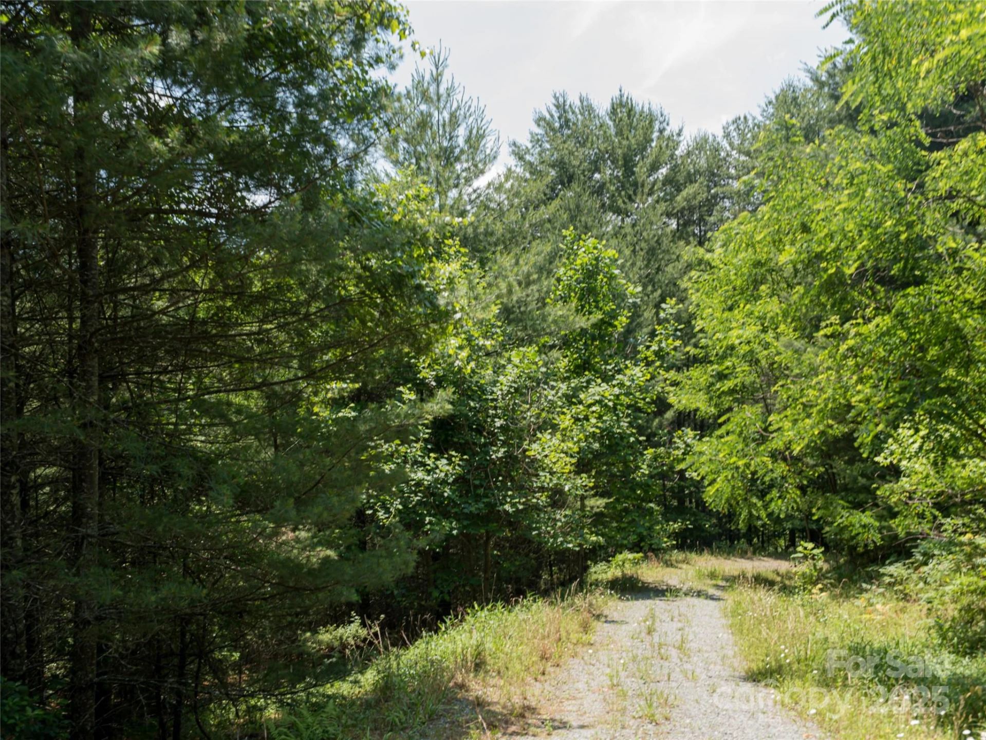 1000 Sutton Creek Road - Photo 20