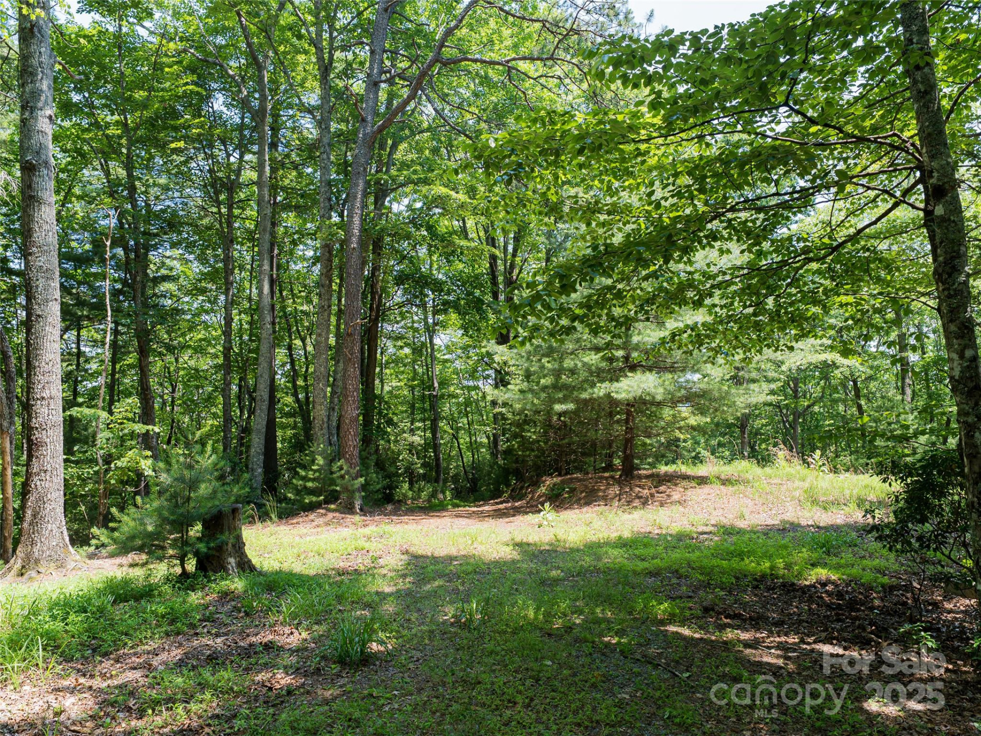 1000 Sutton Creek Road - Photo 3