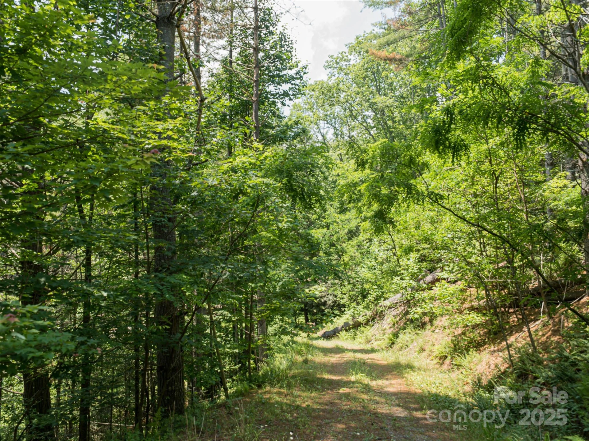 1000 Sutton Creek Road - Photo 21
