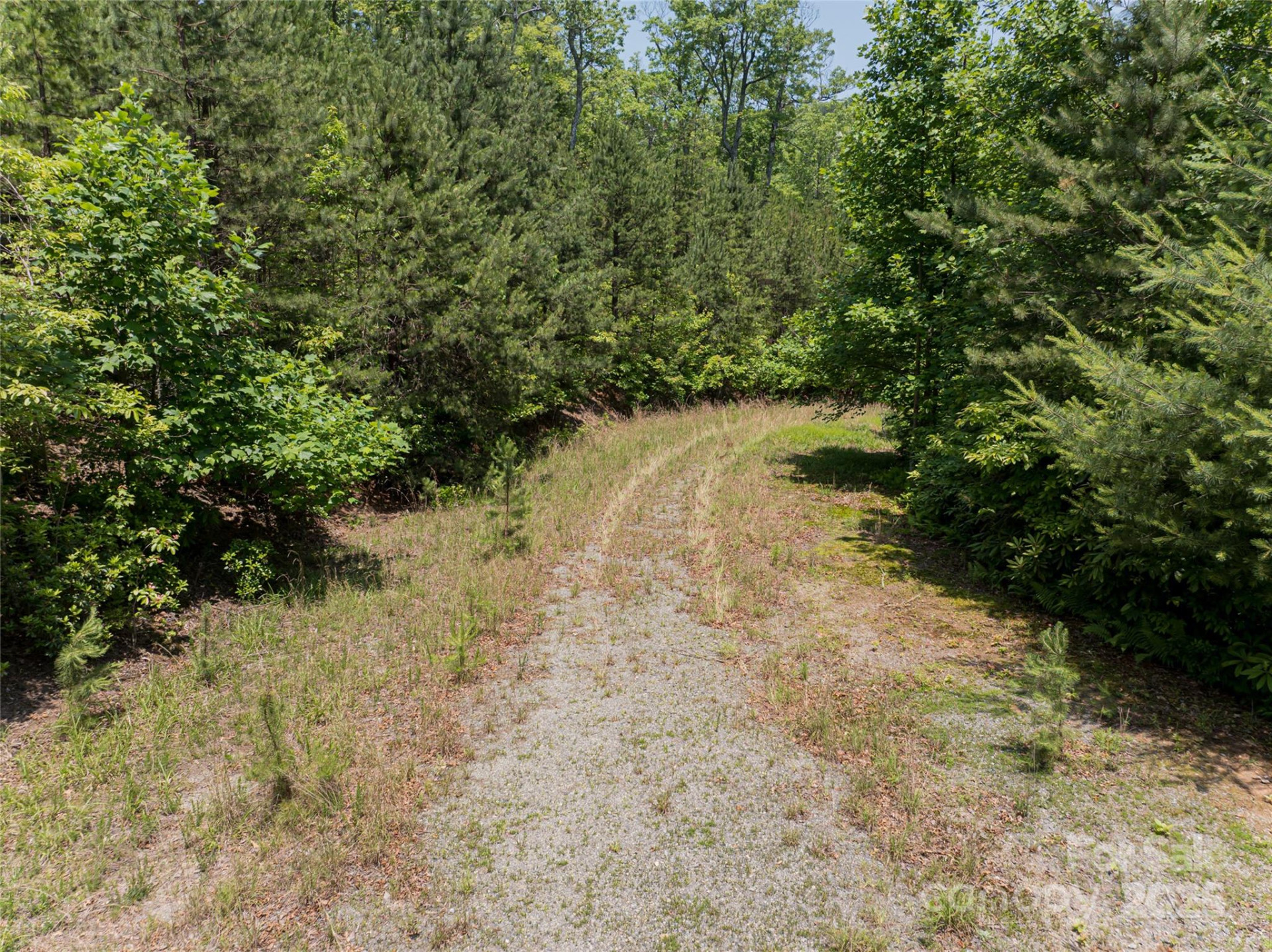 1000 Sutton Creek Road - Photo 22