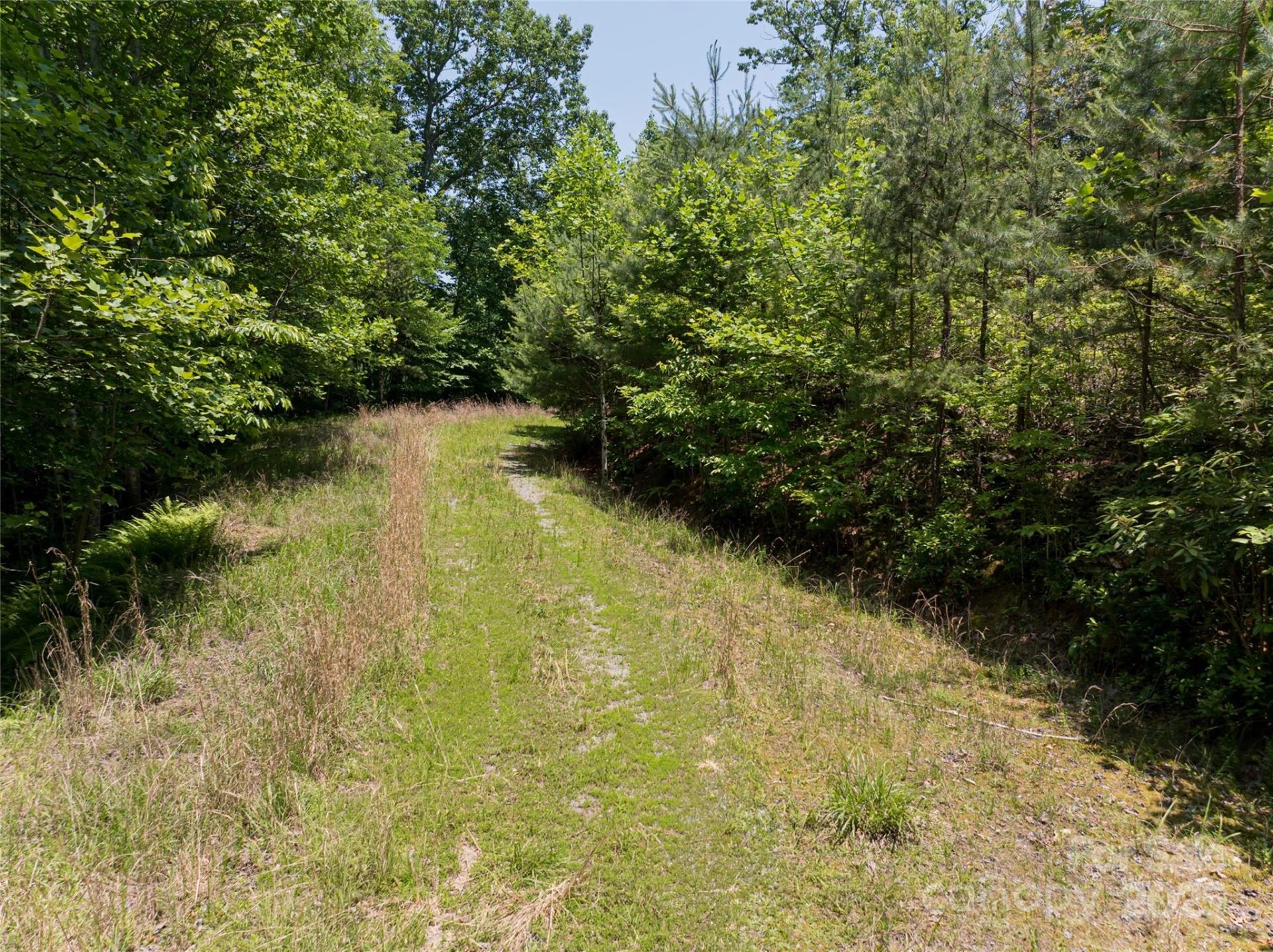 1000 Sutton Creek Road - Photo 23