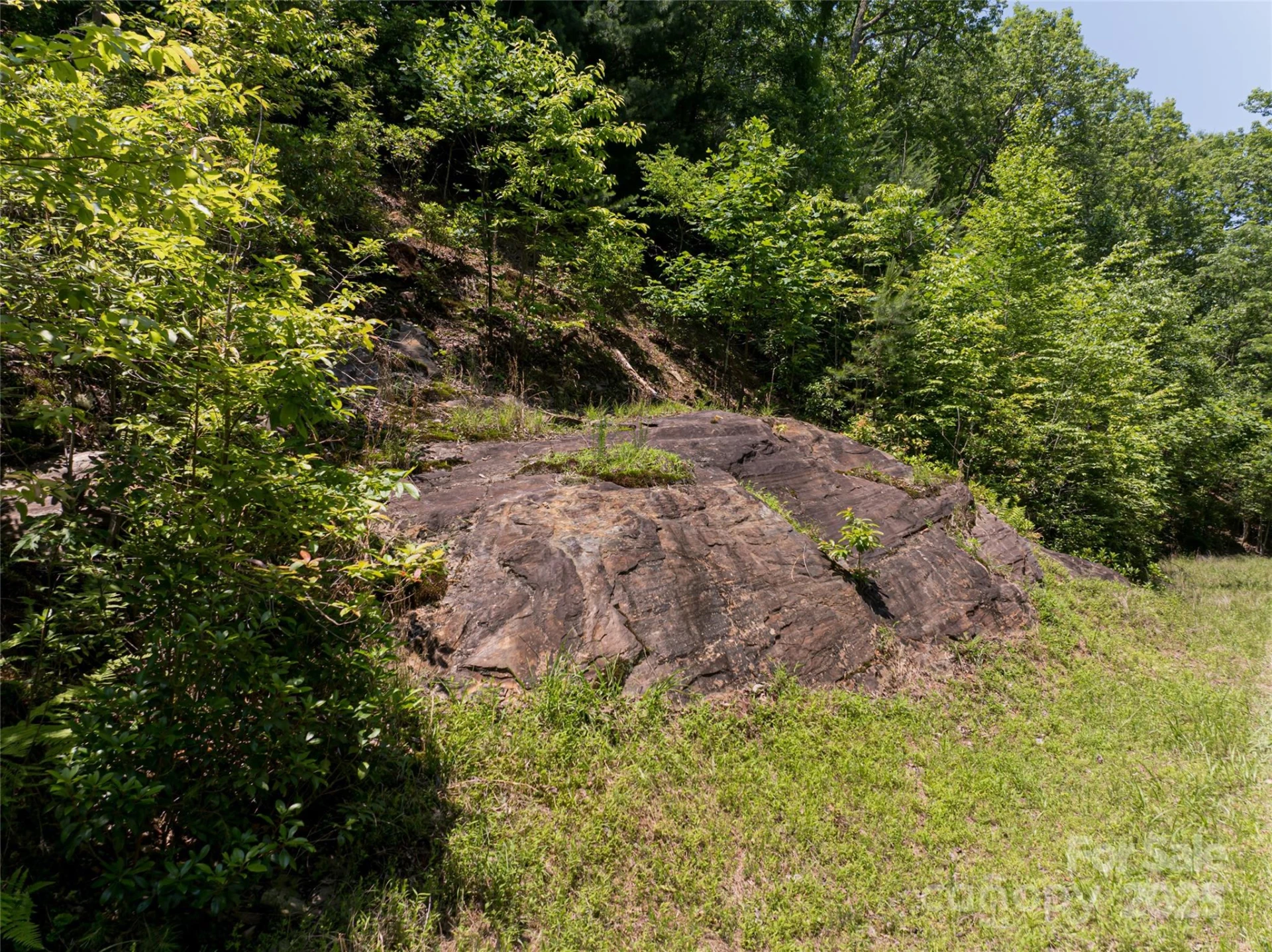 1000 Sutton Creek Road - Photo 24