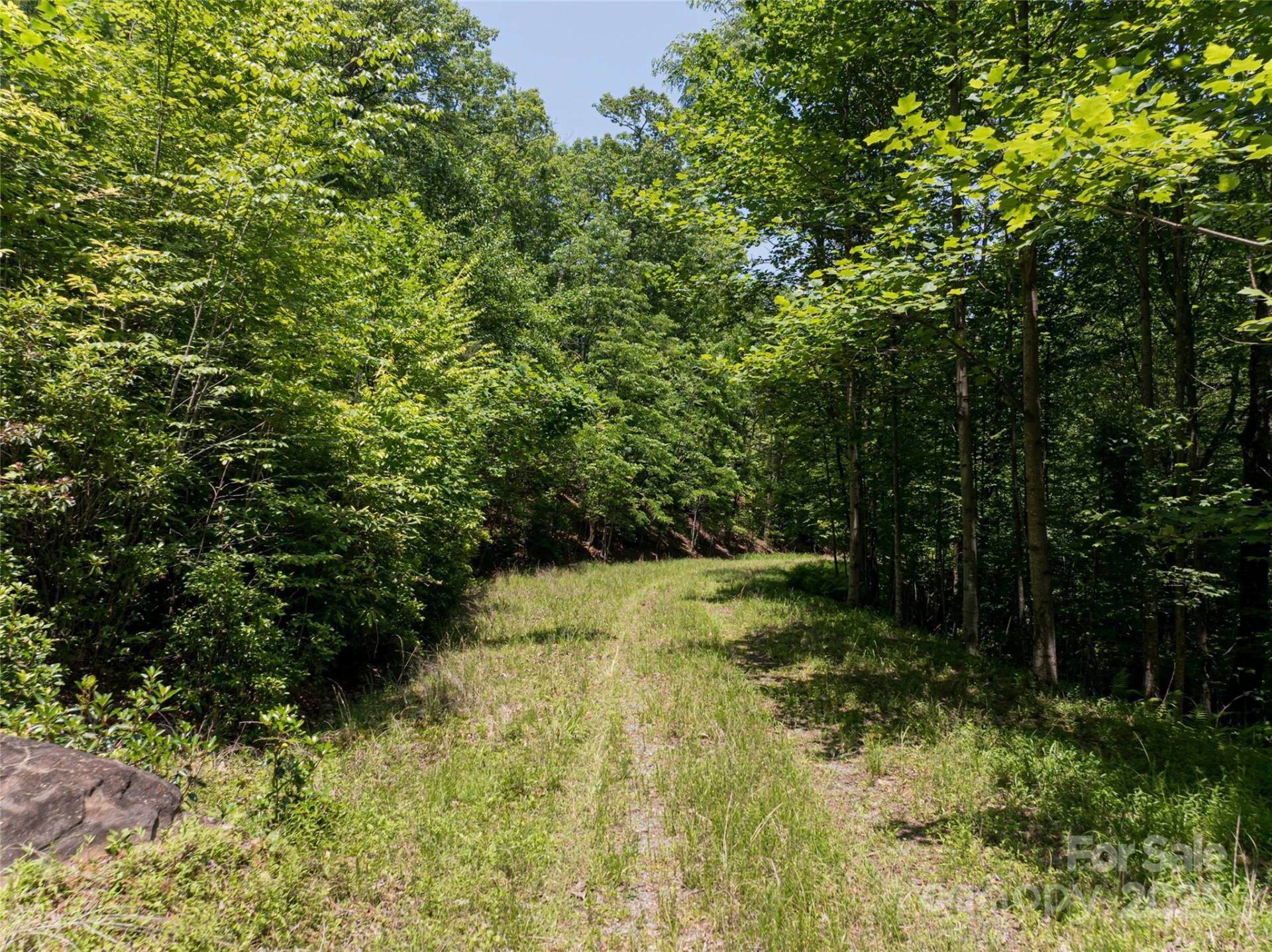 1000 Sutton Creek Road - Photo 25