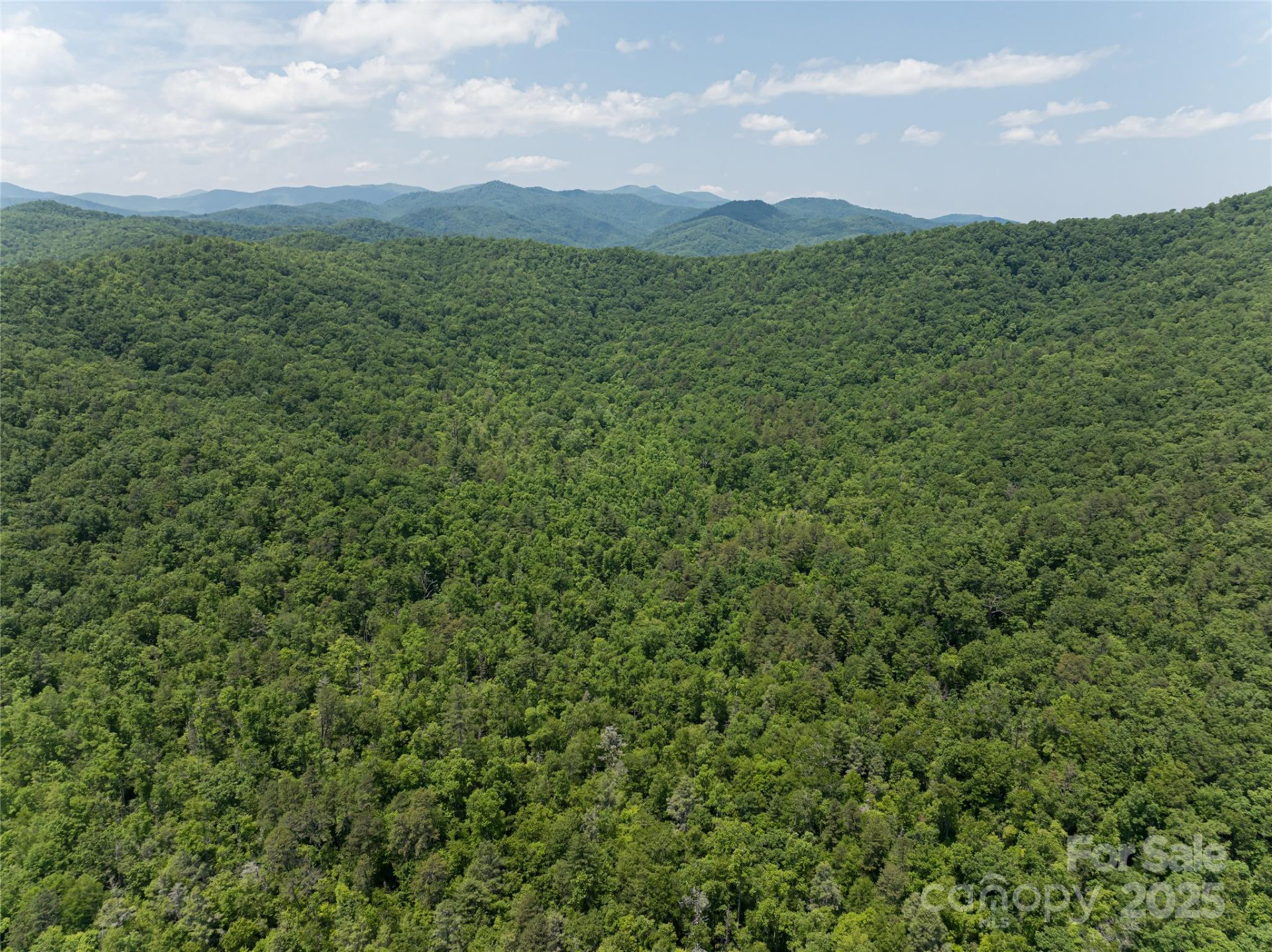 1000 Sutton Creek Road - Photo 26