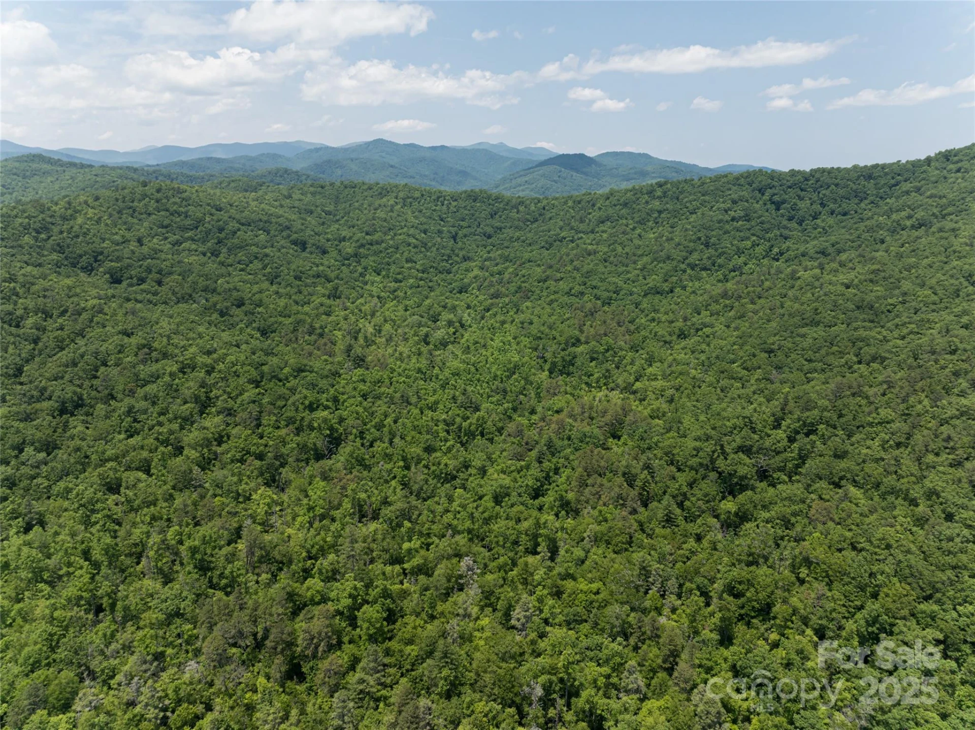 1000 Sutton Creek Road - Photo 26