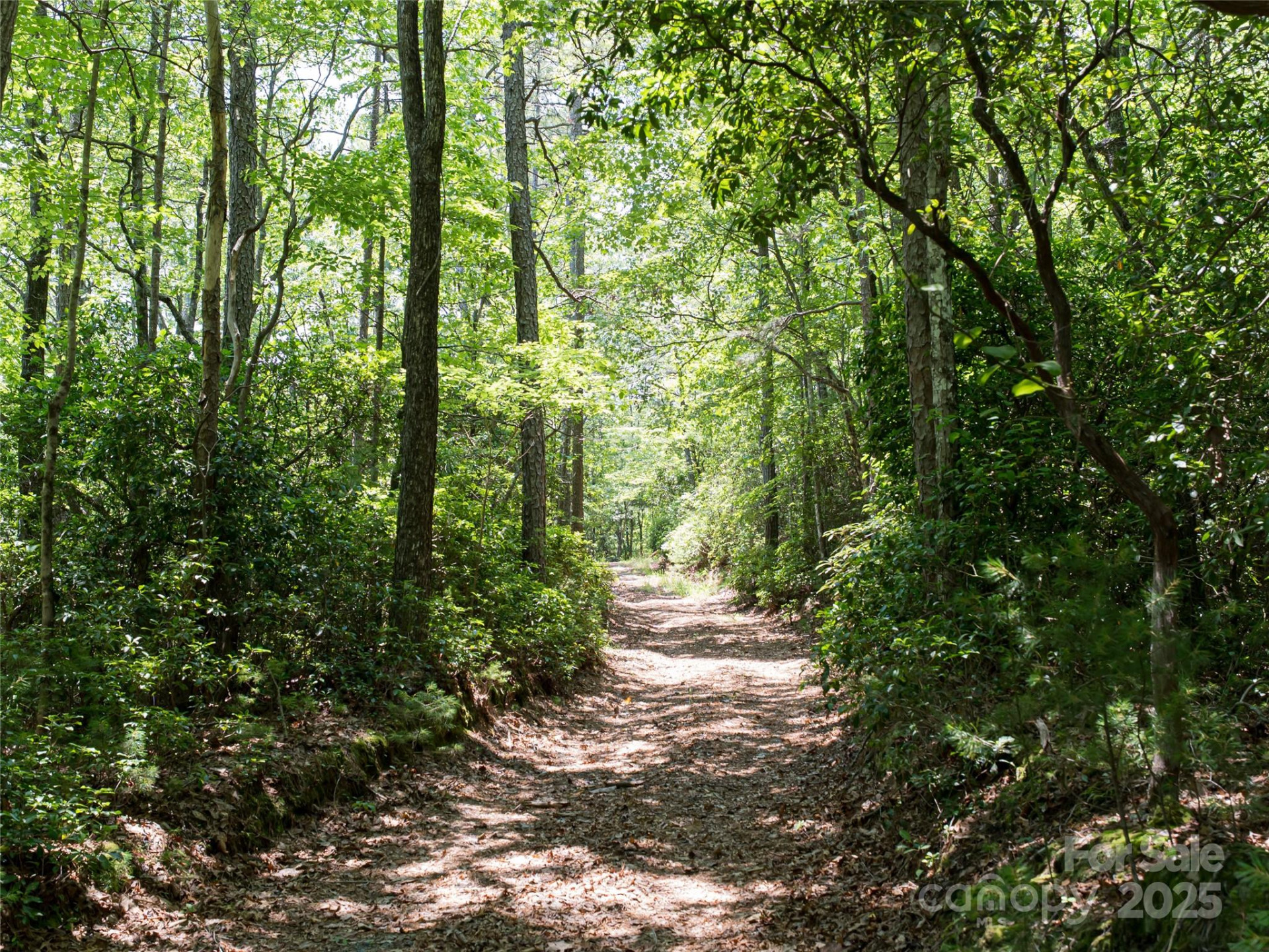 1000 Sutton Creek Road - Photo 4