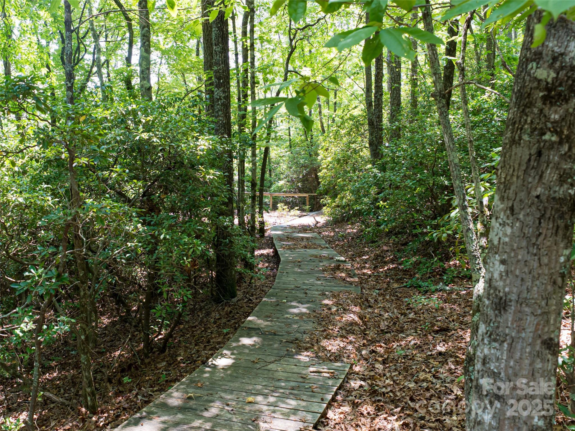 1000 Sutton Creek Road - Photo 5