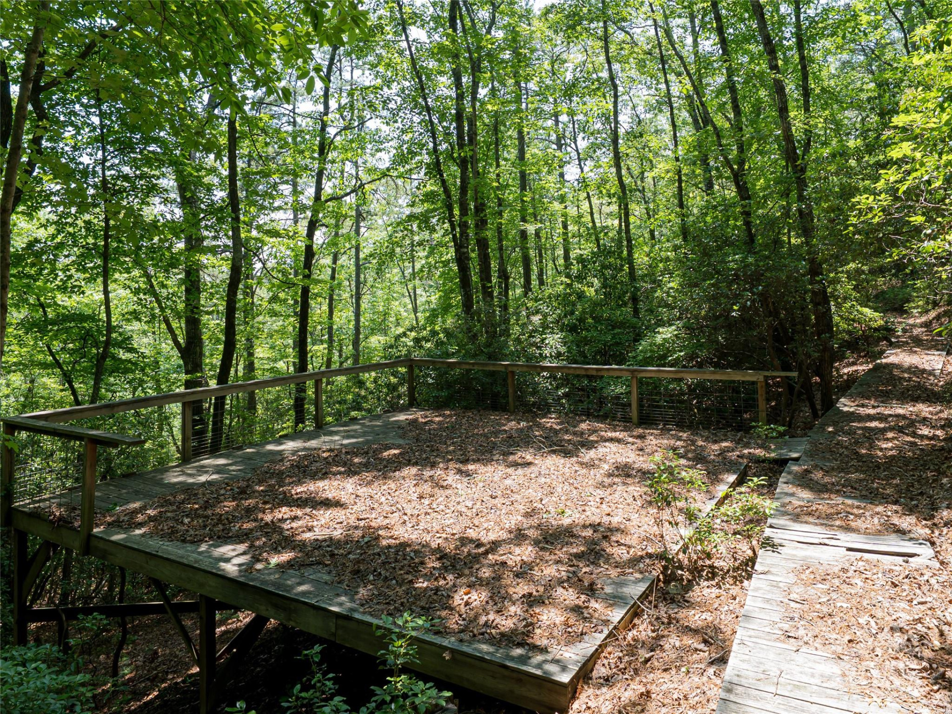 1000 Sutton Creek Road - Photo 6