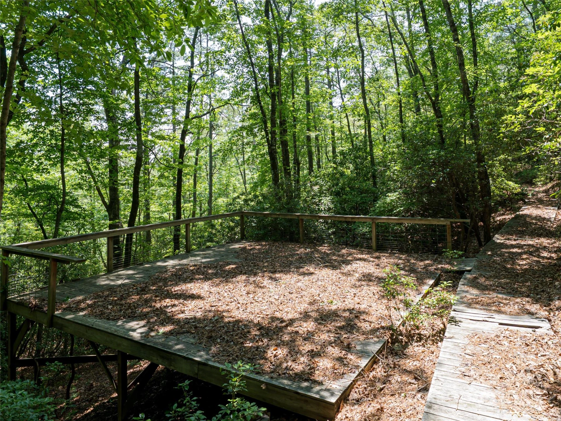 1000 Sutton Creek Road - Photo 6