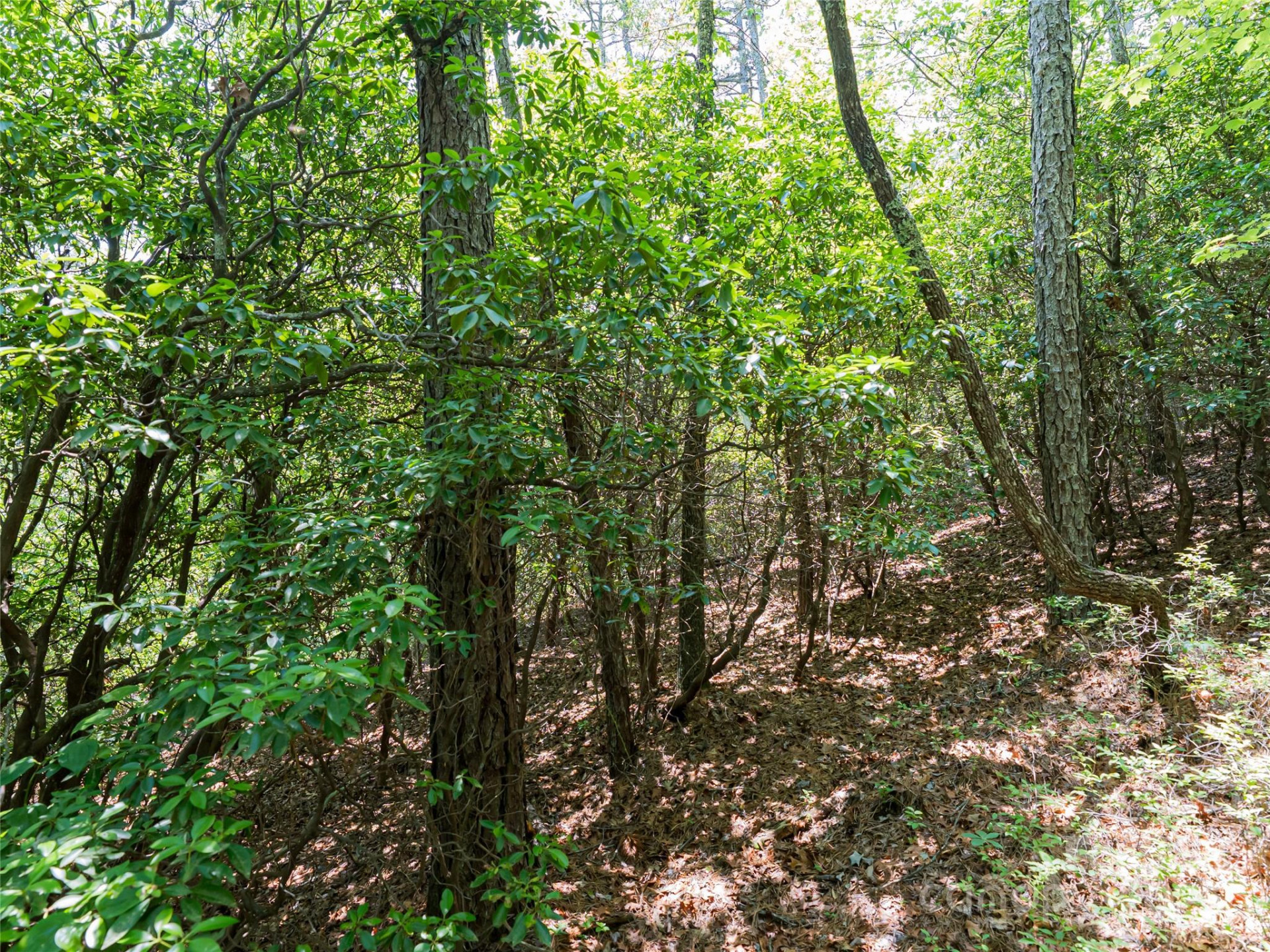 1000 Sutton Creek Road - Photo 9