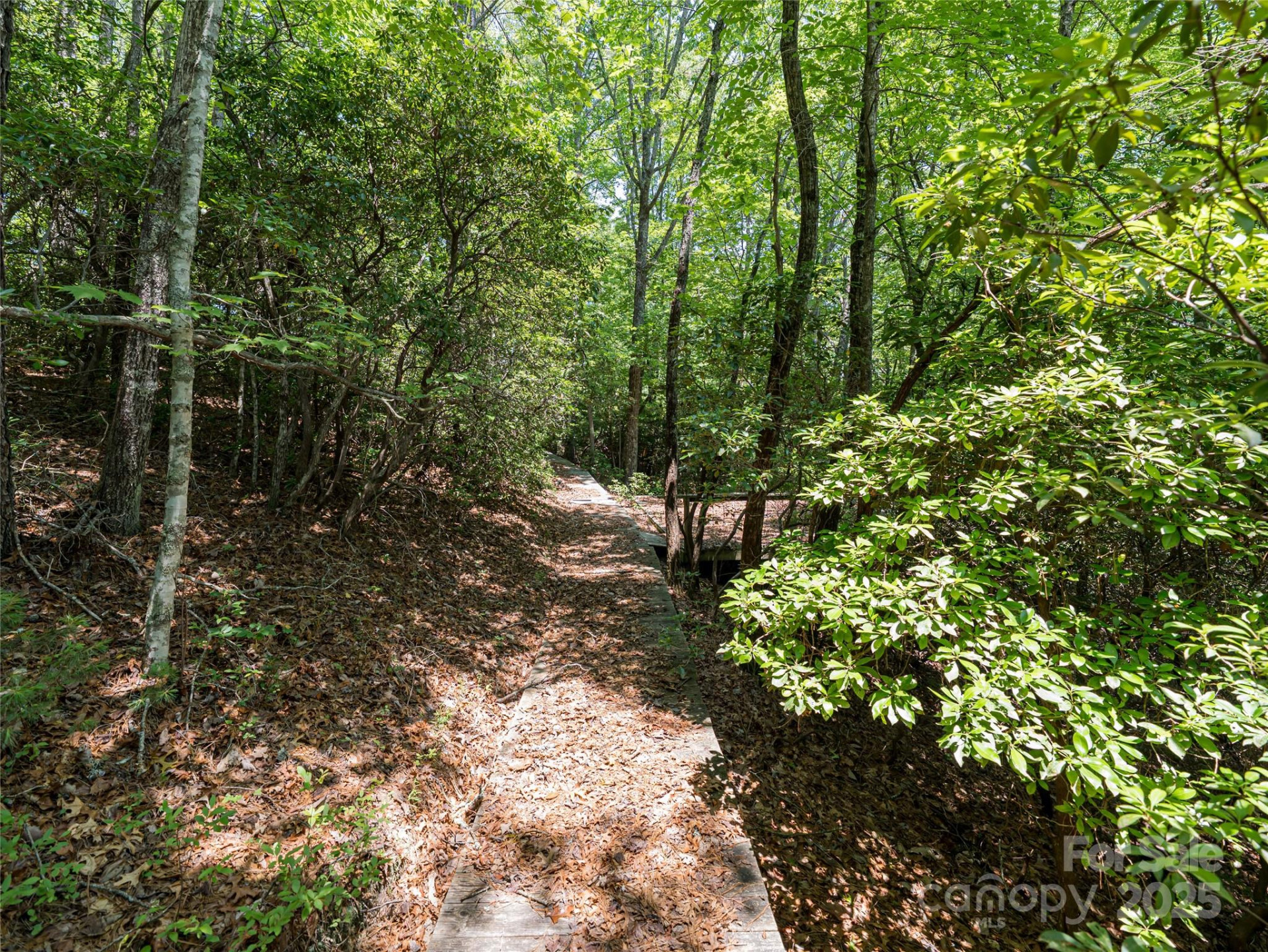 1000 Sutton Creek Road - Photo 10