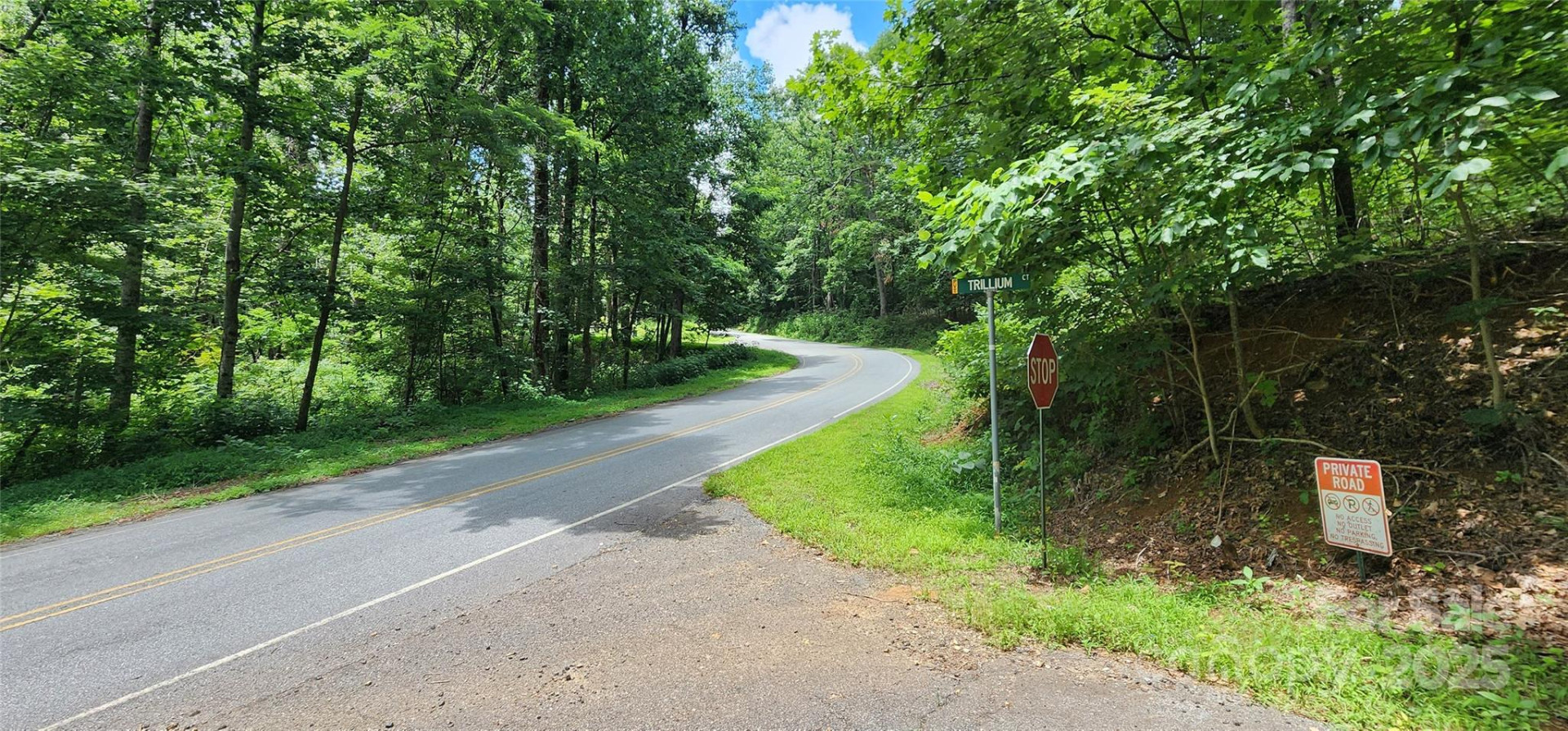 Lot 37 White Oak Mountain Road - Photo 2
