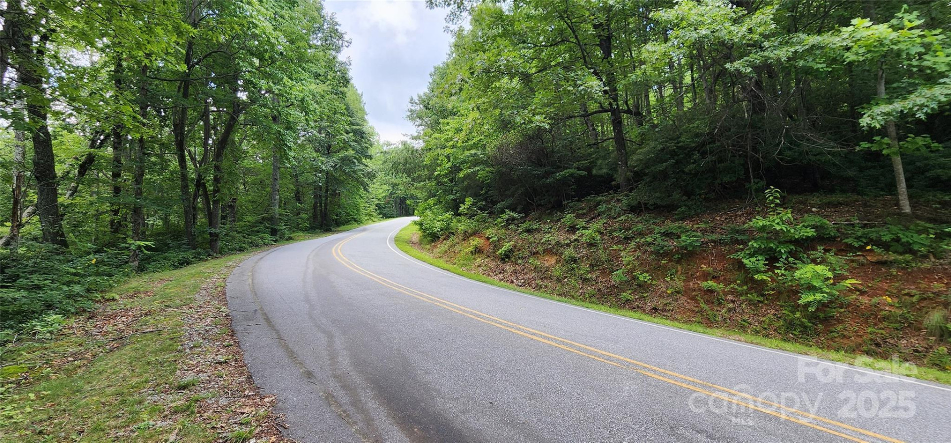 Lot 37 White Oak Mountain Road - Photo 4