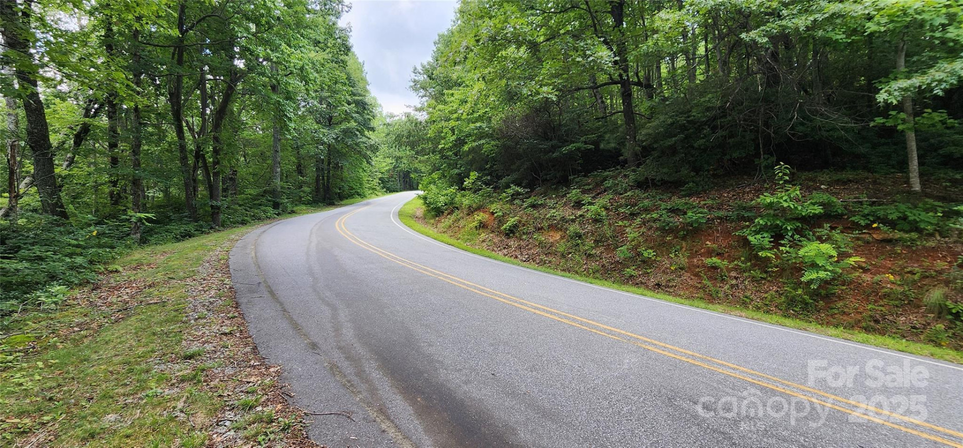 Lot 37 White Oak Mountain Road - Photo 5