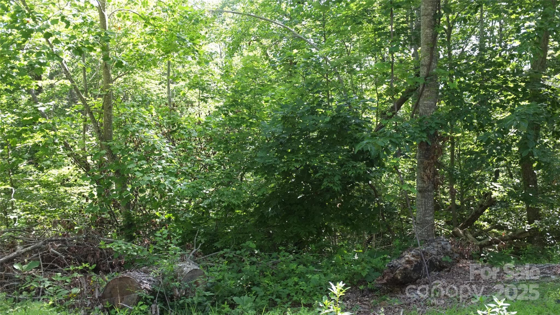 0 Sunset Ridge Drive #Lot #21 - Photo 2