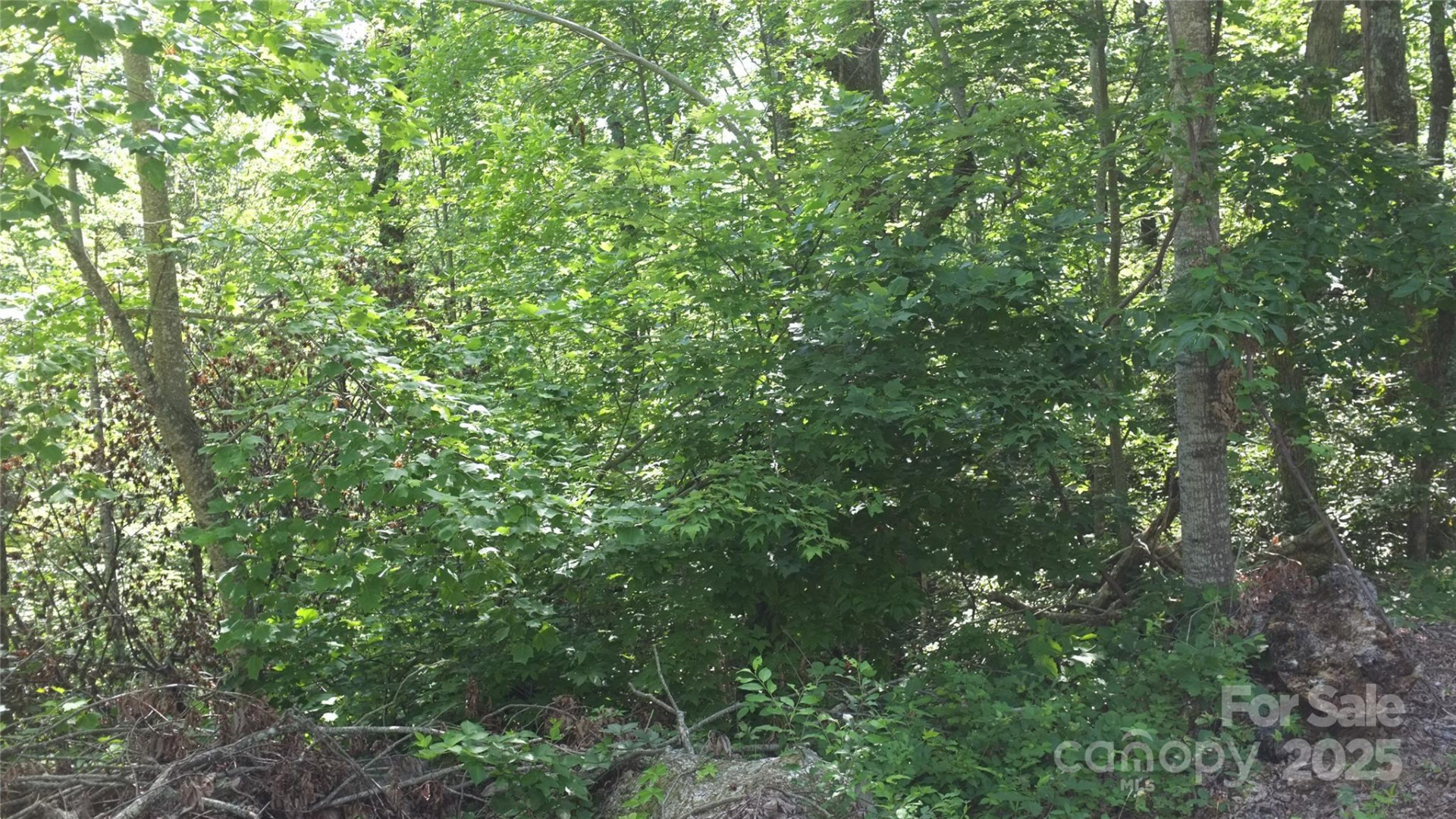 0 Sunset Ridge Drive #Lot #21 - Photo 3