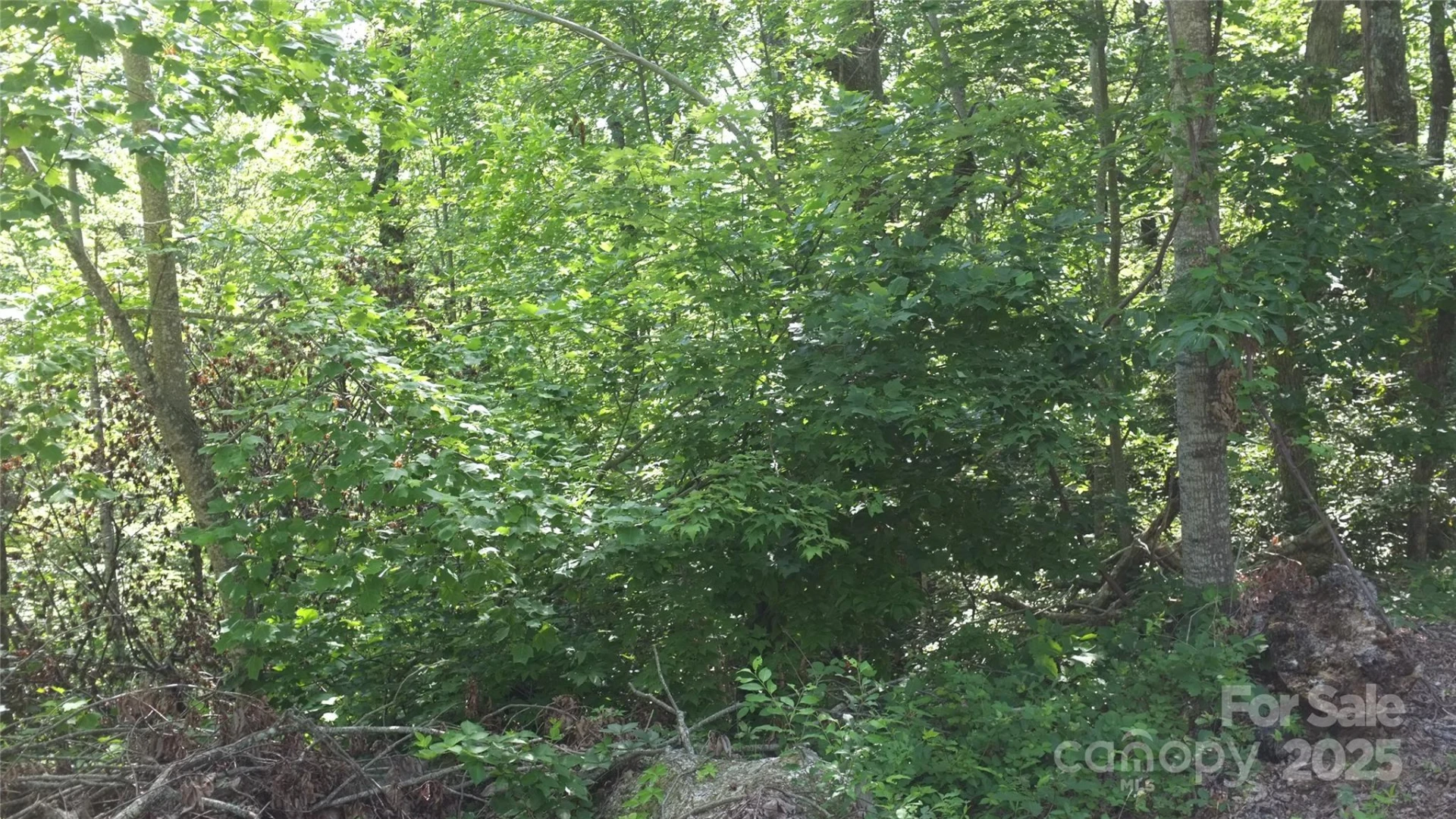 0 Sunset Ridge Drive #Lot #21 - Photo 3