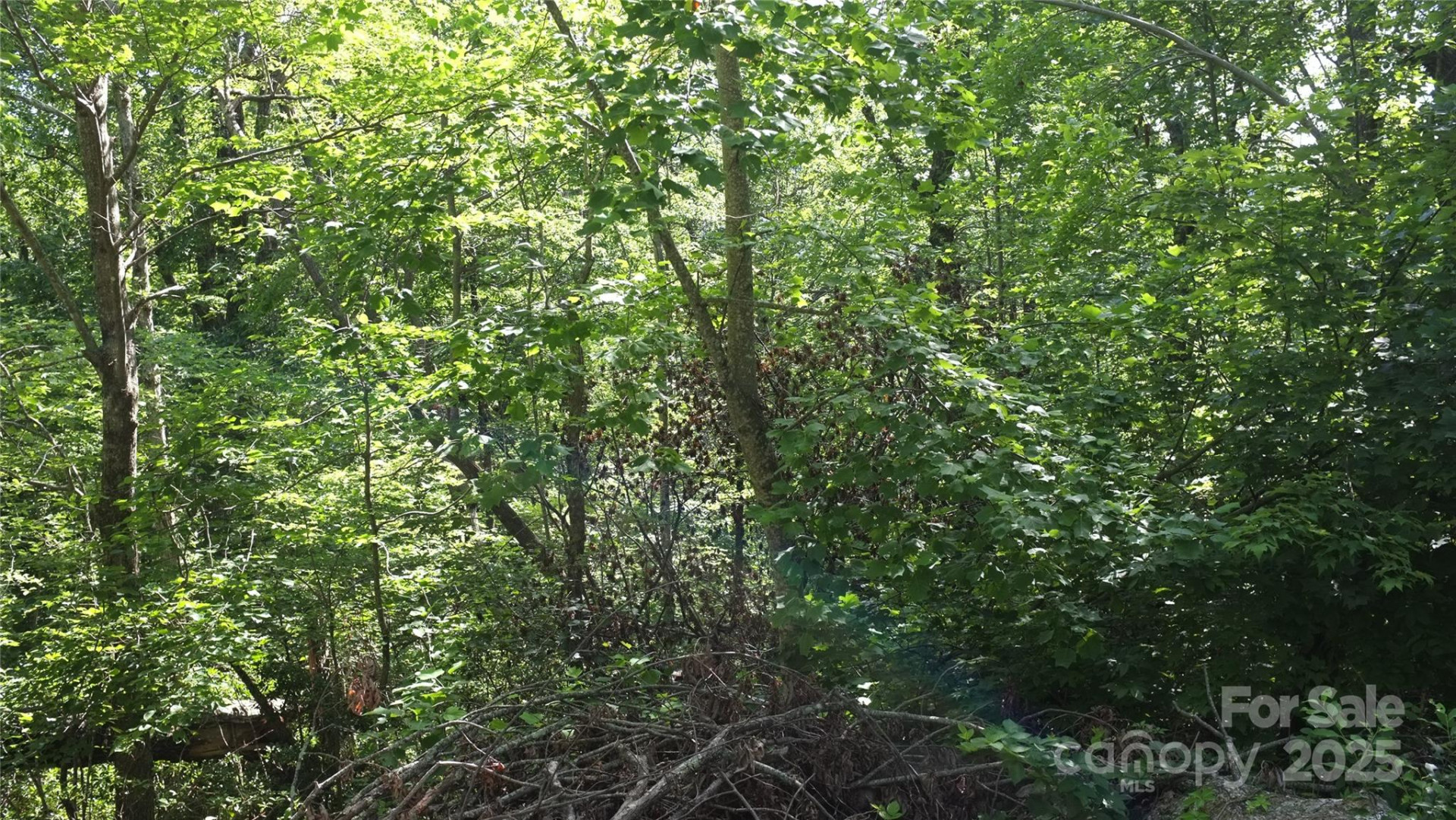 0 Sunset Ridge Drive #Lot #21 - Photo 4