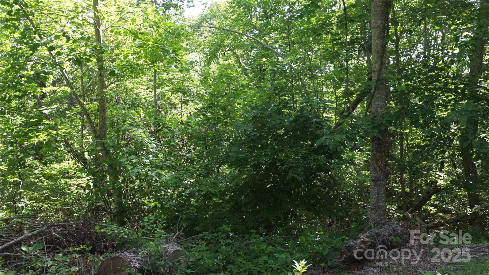 0 Sunset Ridge Drive #Lot #21 - Photo 5