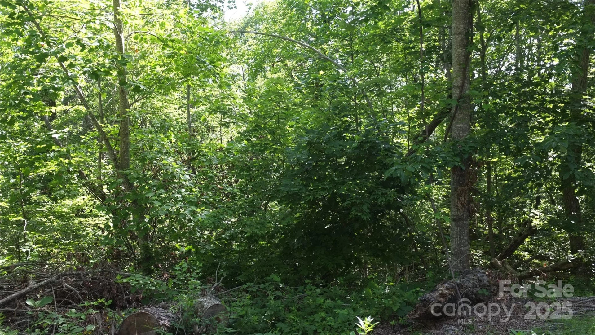 0 Sunset Ridge Drive #Lot #21 - Photo 5