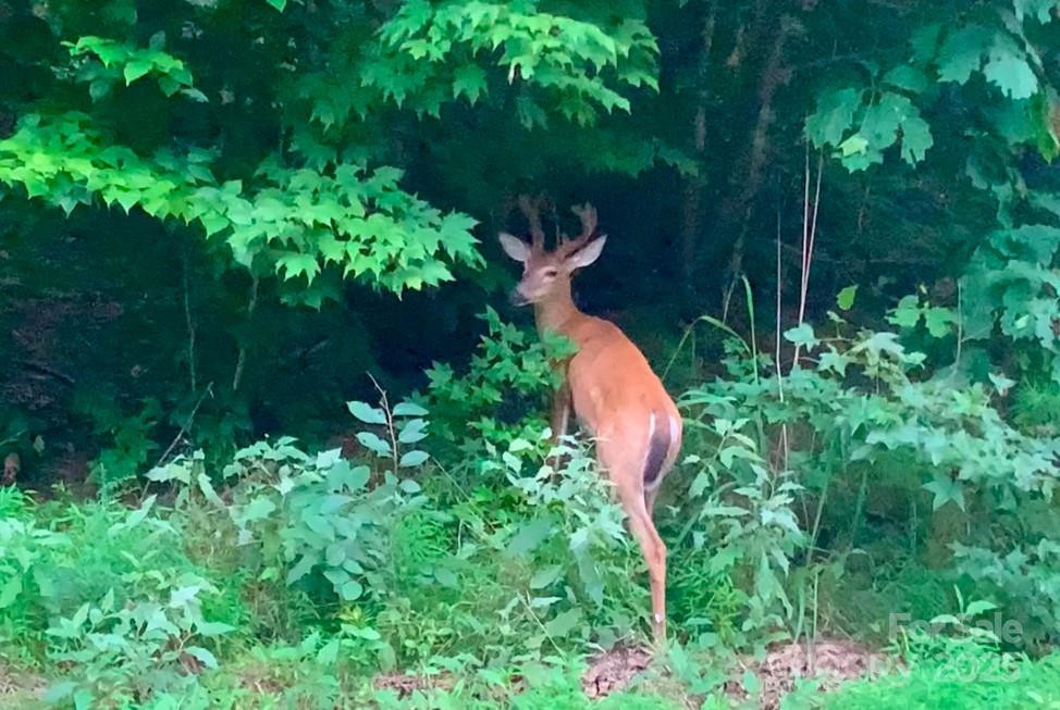 0 Sunset Ridge Drive #Lot #21 - Photo 8