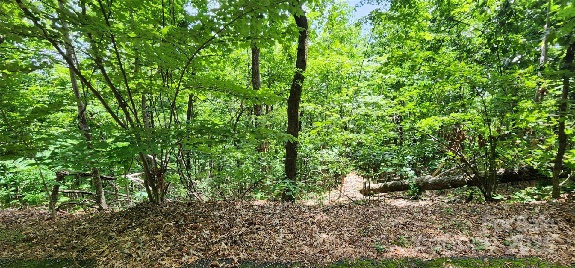 Lot 34 White Oak Mountain Road - Photo 5