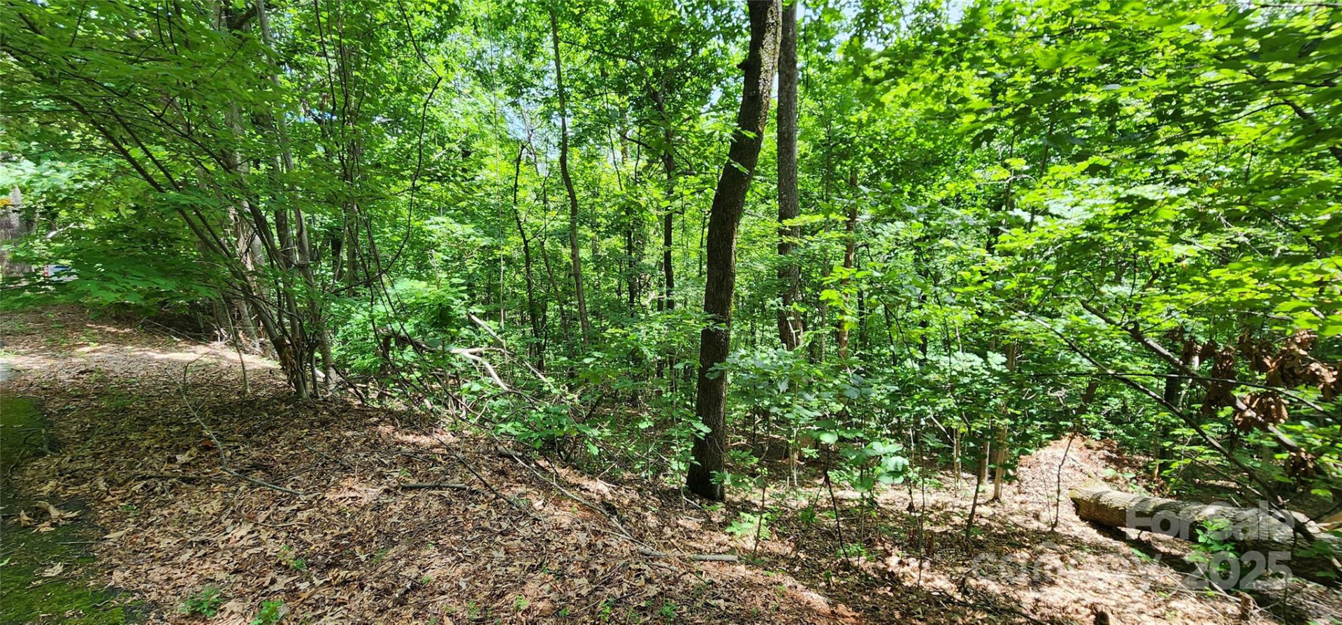 Lot 34 White Oak Mountain Road - Photo 6