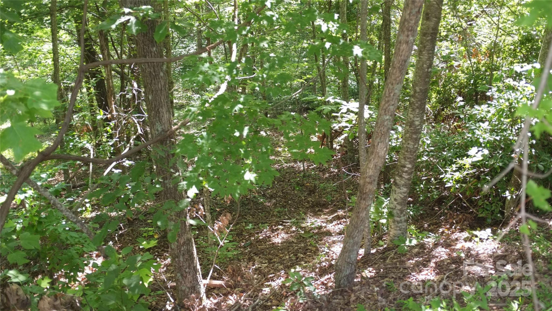 0 Sunset Ridge Drive #Lot#11 - Photo 4