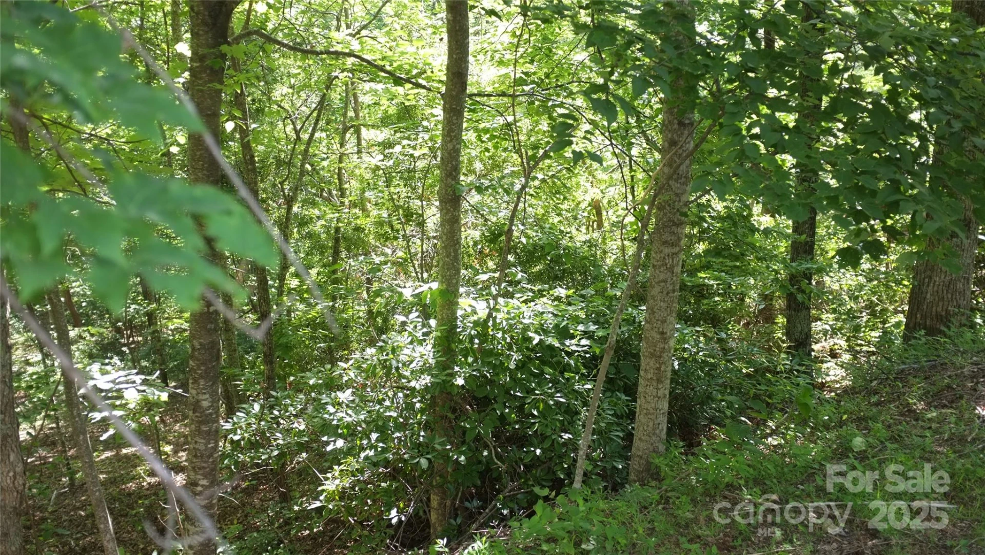 0 Sunset Ridge Drive #Lot#11 - Photo 5