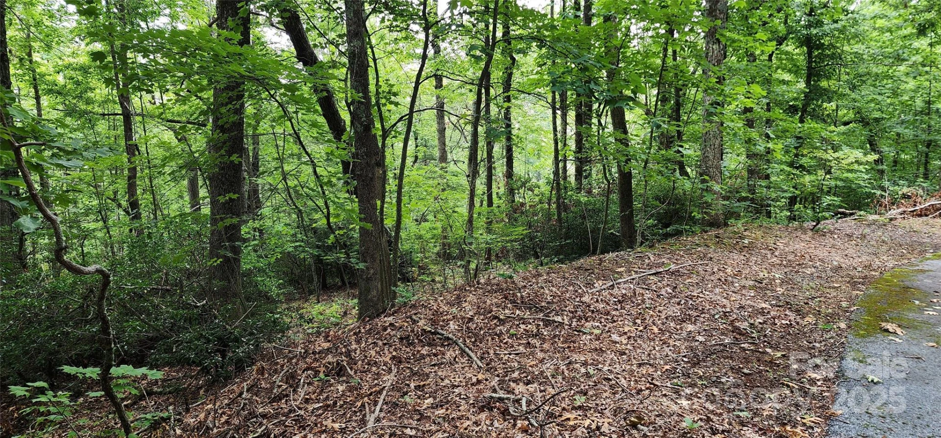 Lot 31 White Oak Mountain Road - Photo 13