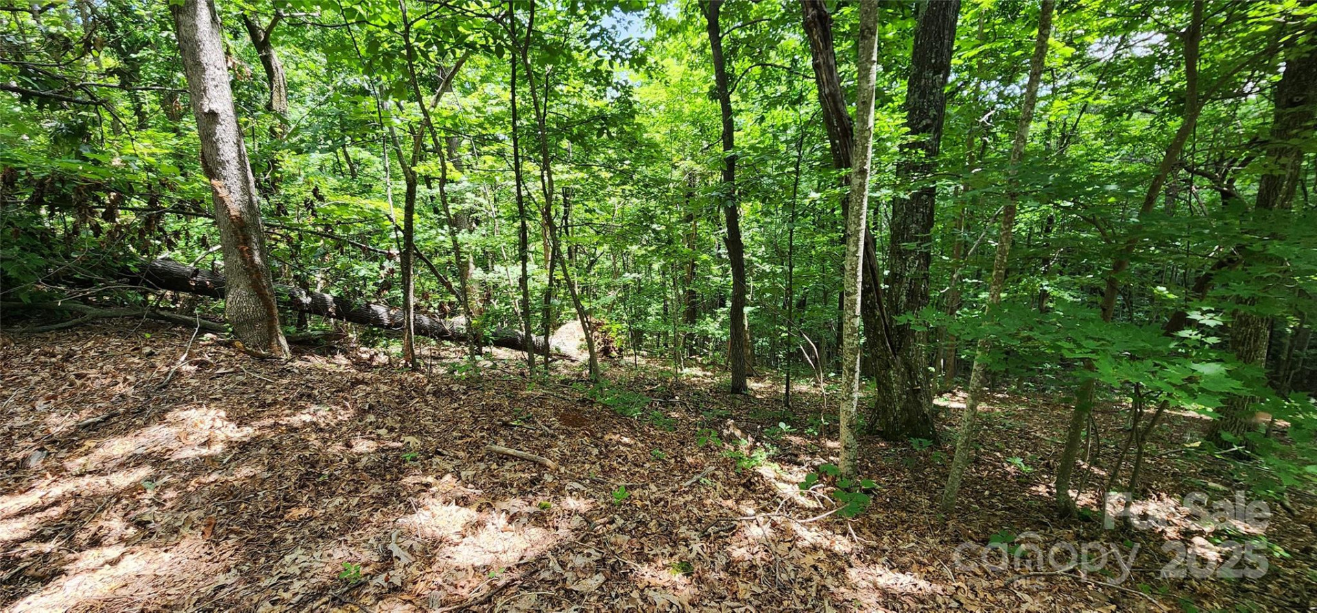 Lot 31 White Oak Mountain Road - Photo 8