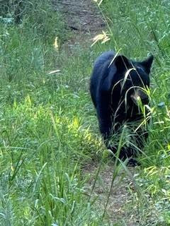 338 Espen Ridge - Photo 45