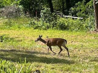 338 Espen Ridge - Photo 46