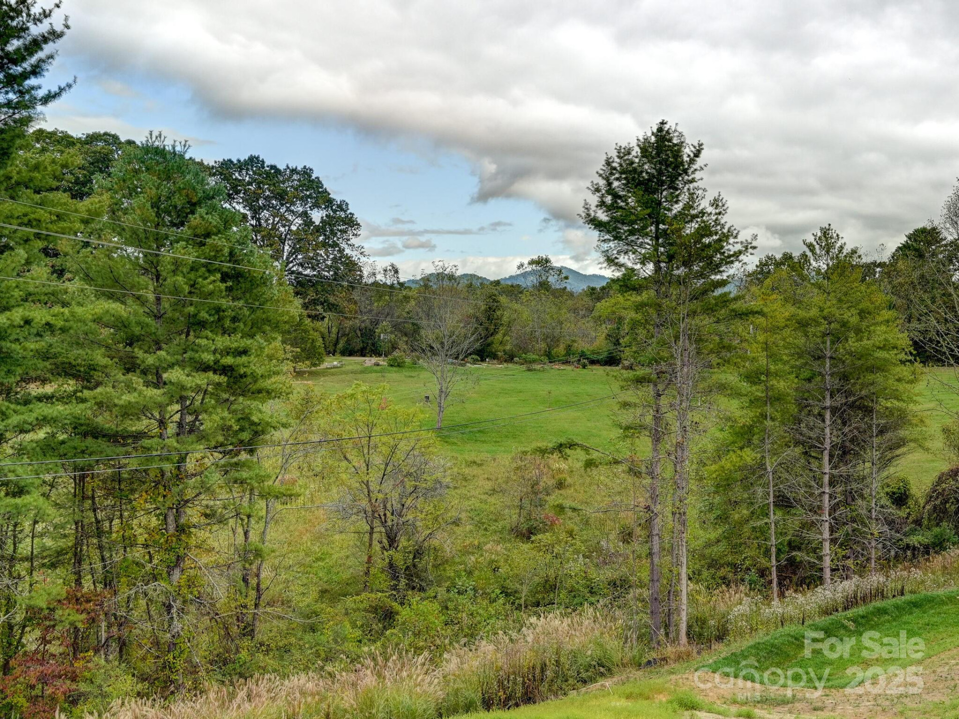 75 Eller Ford Road - Photo 18