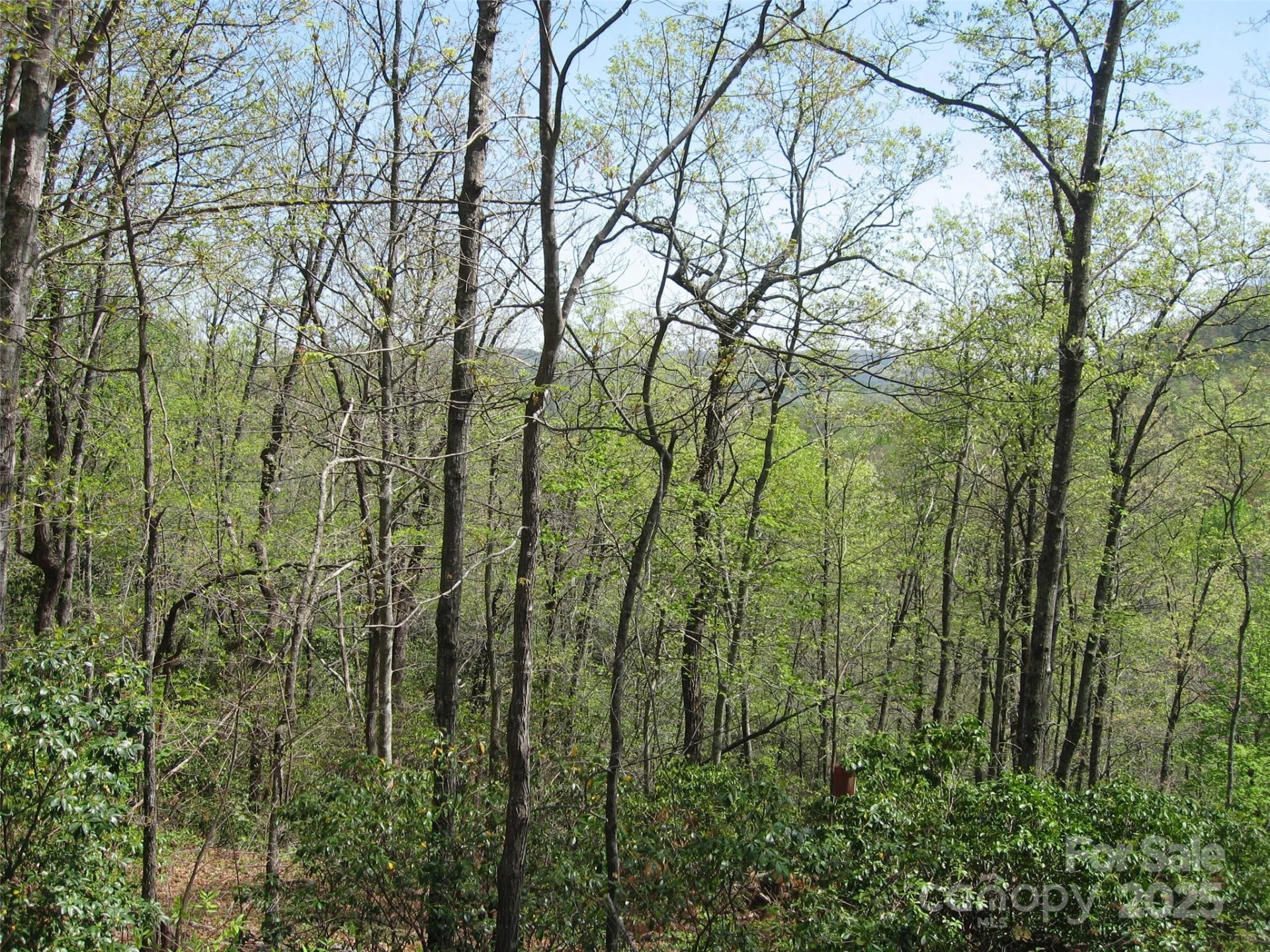 313 Line Runner Ridge Road - Photo 2