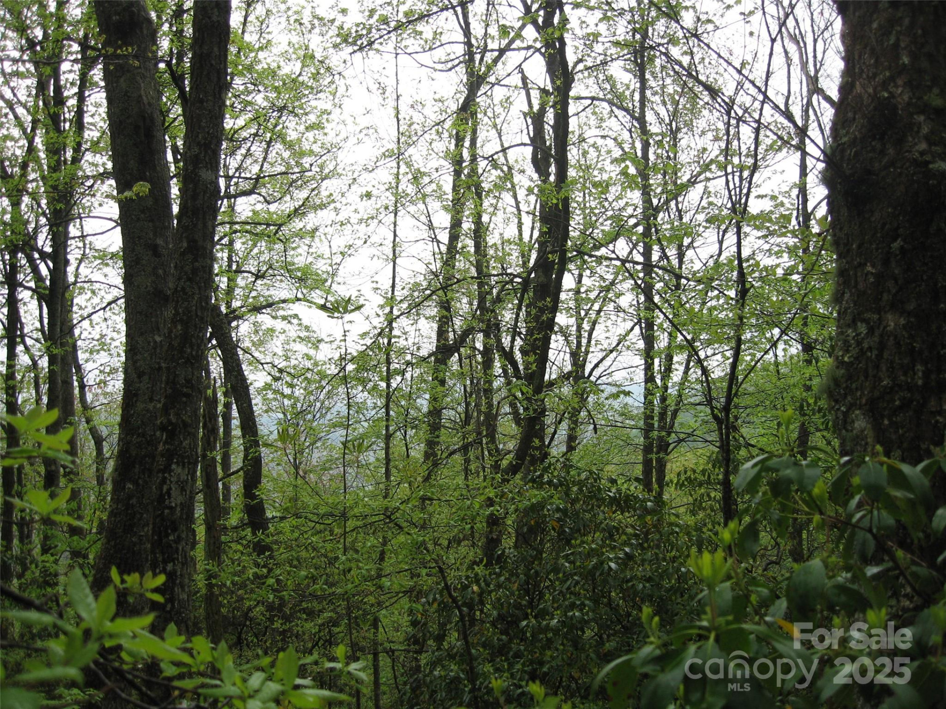 313 Line Runner Ridge Road - Photo 12