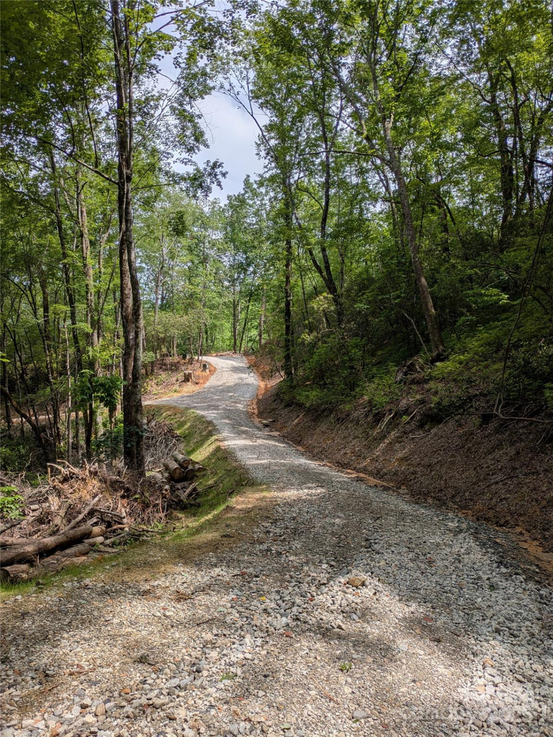 313 Line Runner Ridge Road - Photo 13