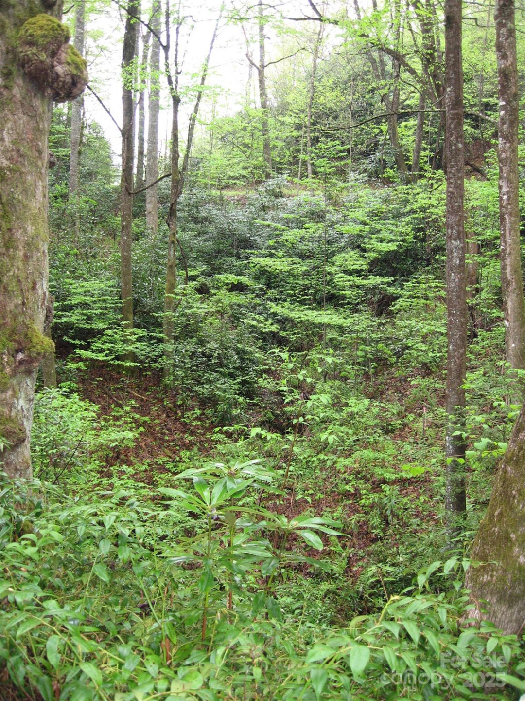 313 Line Runner Ridge Road - Photo 14