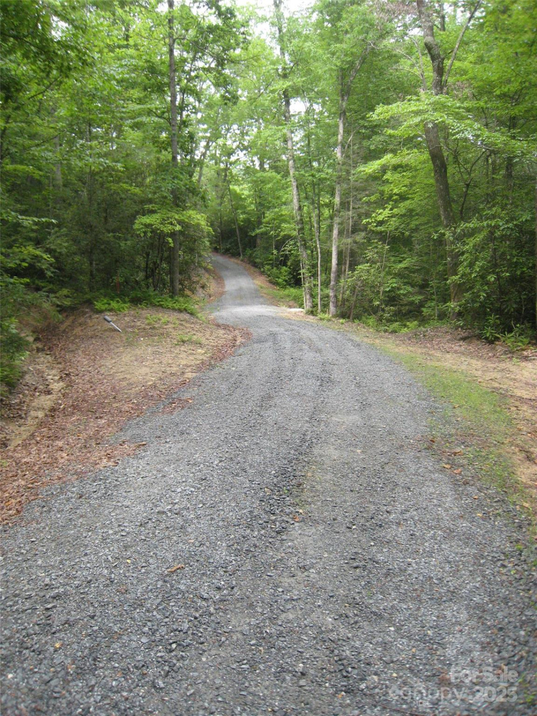 313 Line Runner Ridge Road - Photo 15