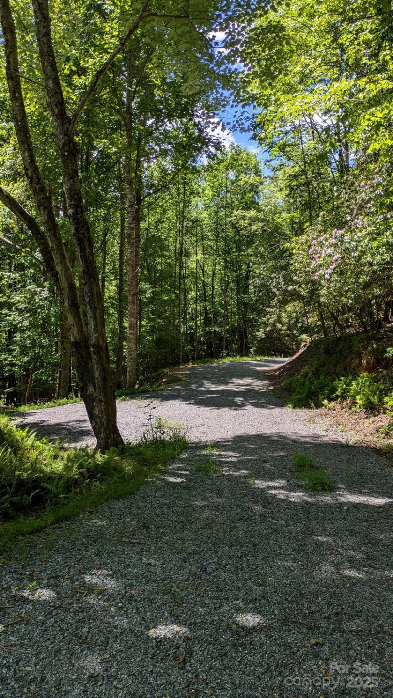 313 Line Runner Ridge Road - Photo 17