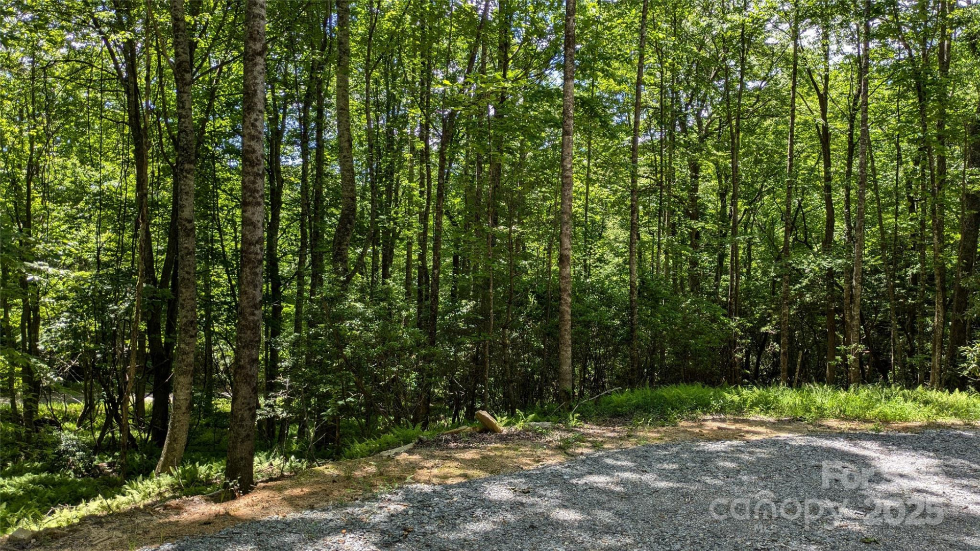 313 Line Runner Ridge Road - Photo 19