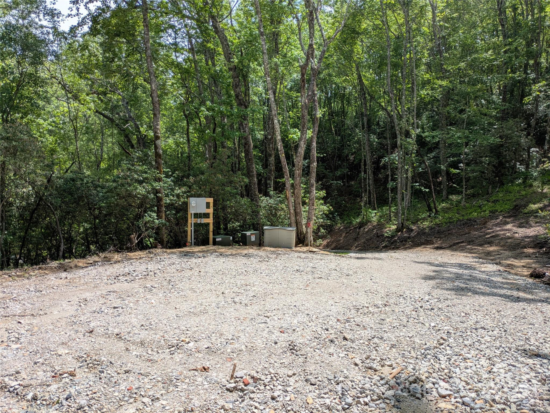 313 Line Runner Ridge Road - Photo 3