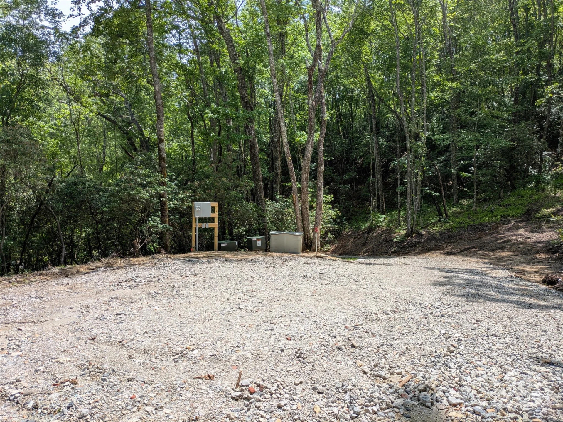 313 Line Runner Ridge Road - Photo 3