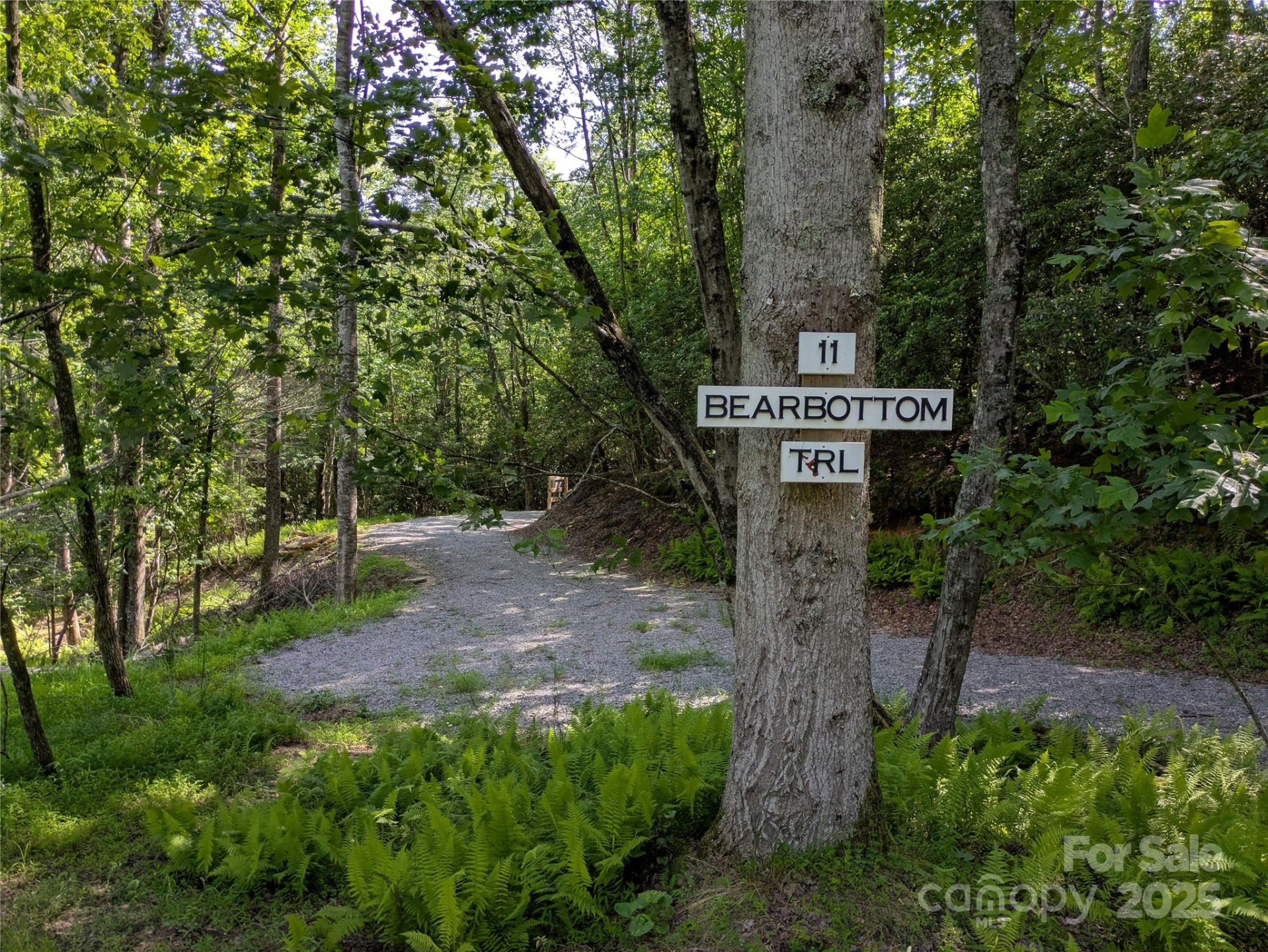 313 Line Runner Ridge Road - Photo 24