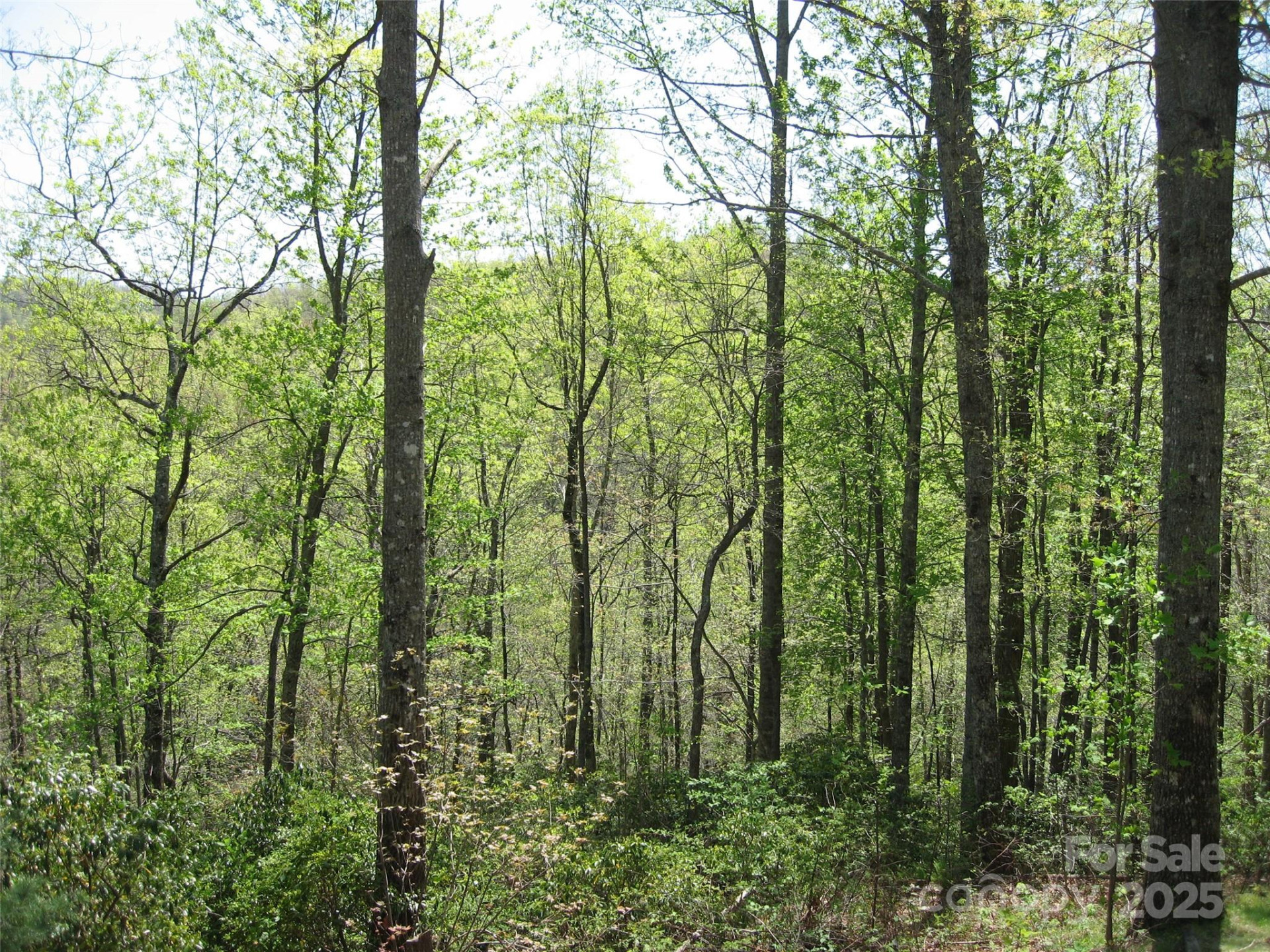 313 Line Runner Ridge Road - Photo 25