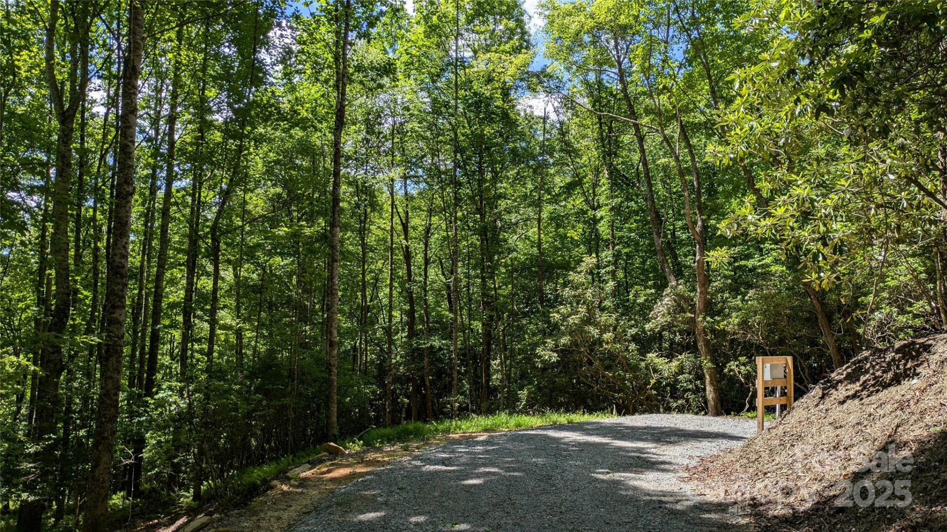 313 Line Runner Ridge Road - Photo 26