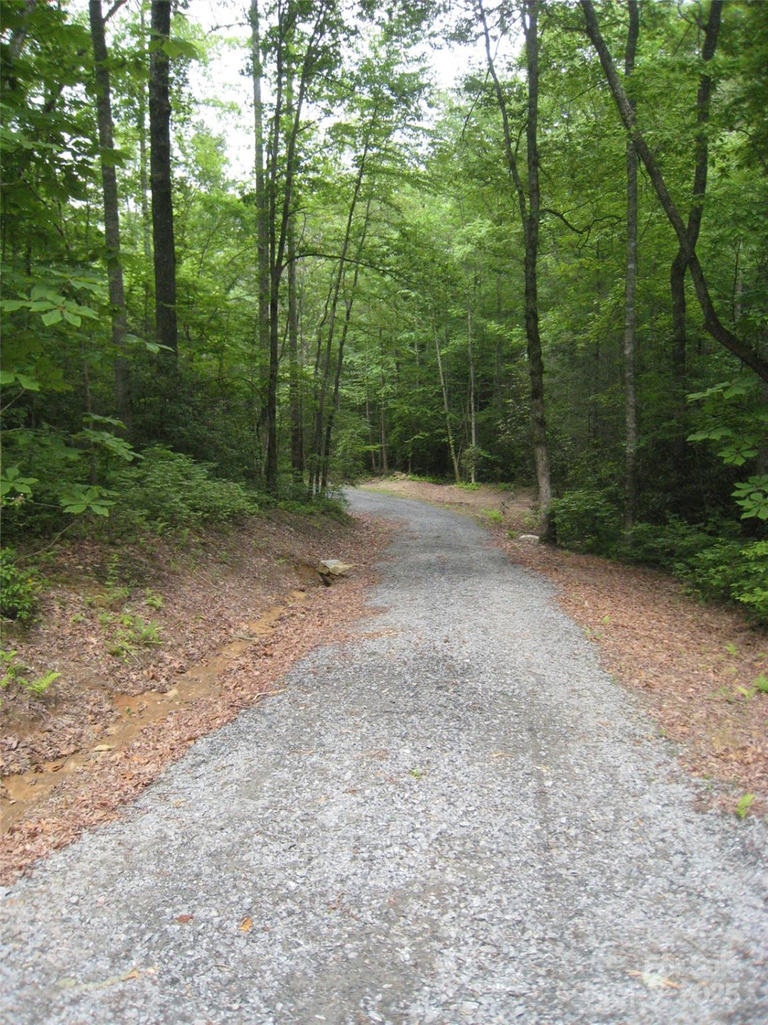 313 Line Runner Ridge Road - Photo 27