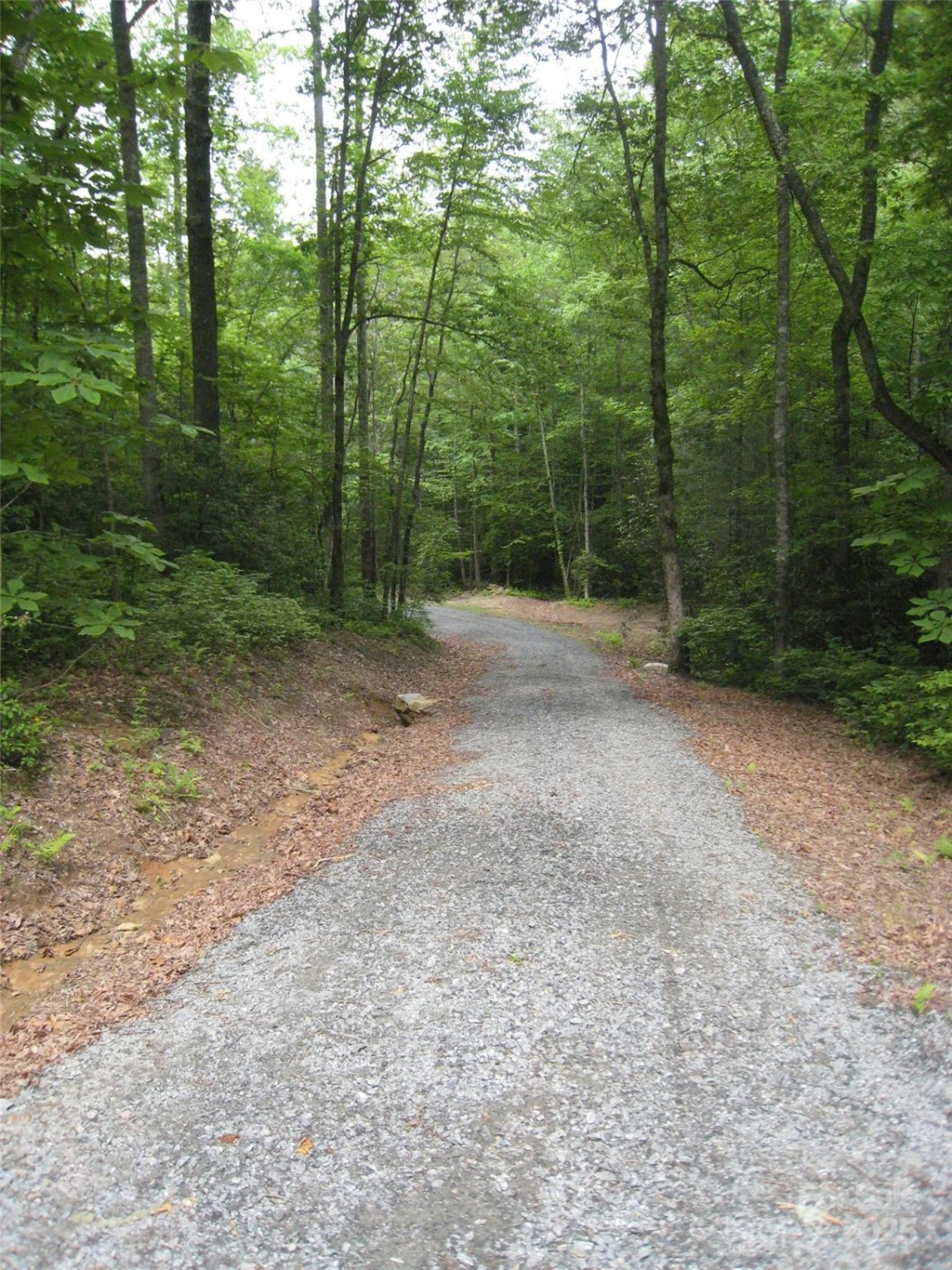 313 Line Runner Ridge Road - Photo 27